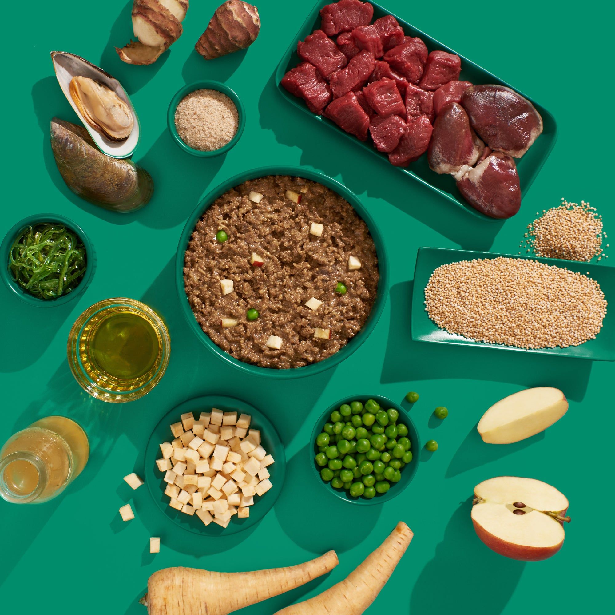 Verschiedene Zutaten für Tiernahrung: Fleisch, Gemüse, Getreide, Öl, Muscheln, auf grünem Hintergrund.