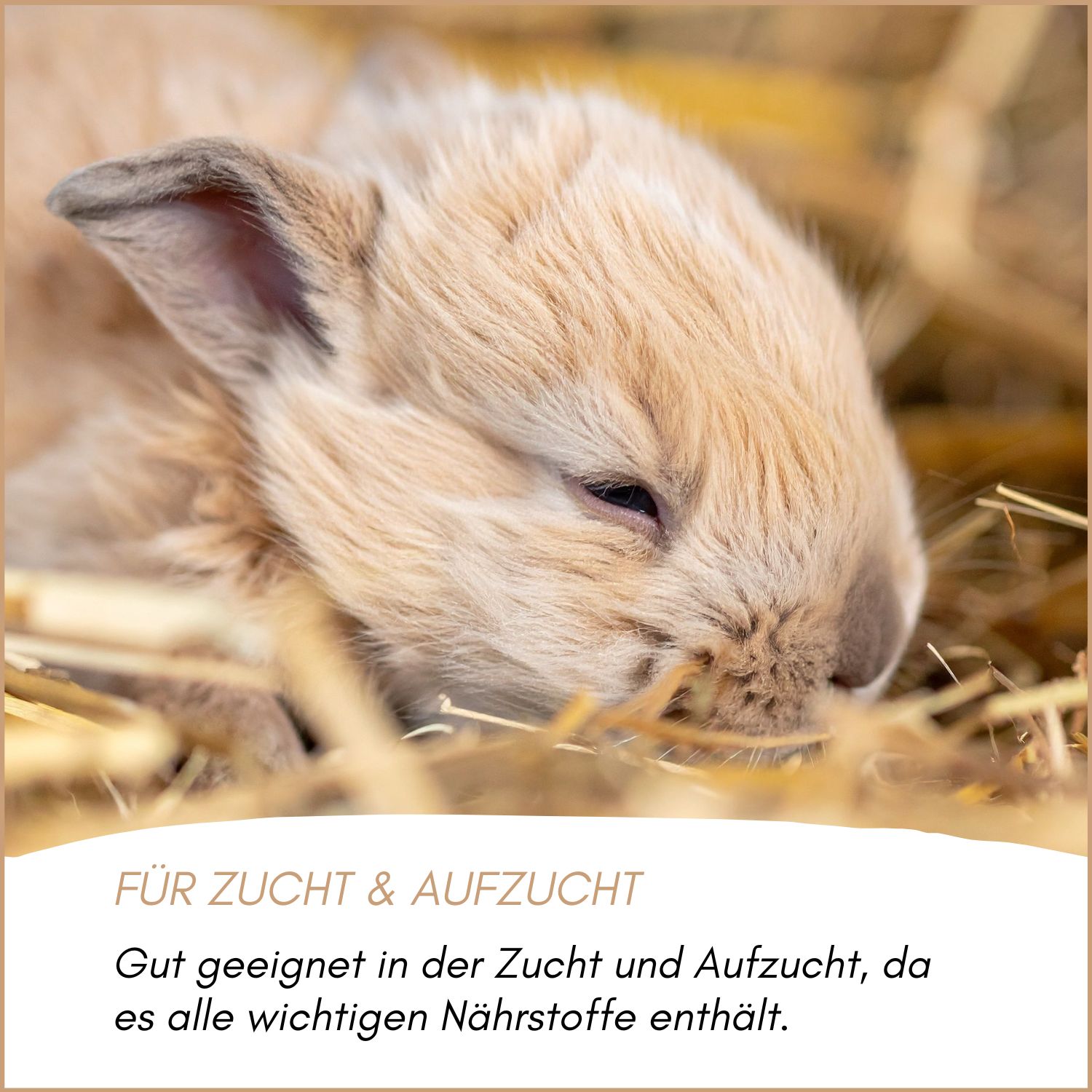 Supravit Hasenfutter