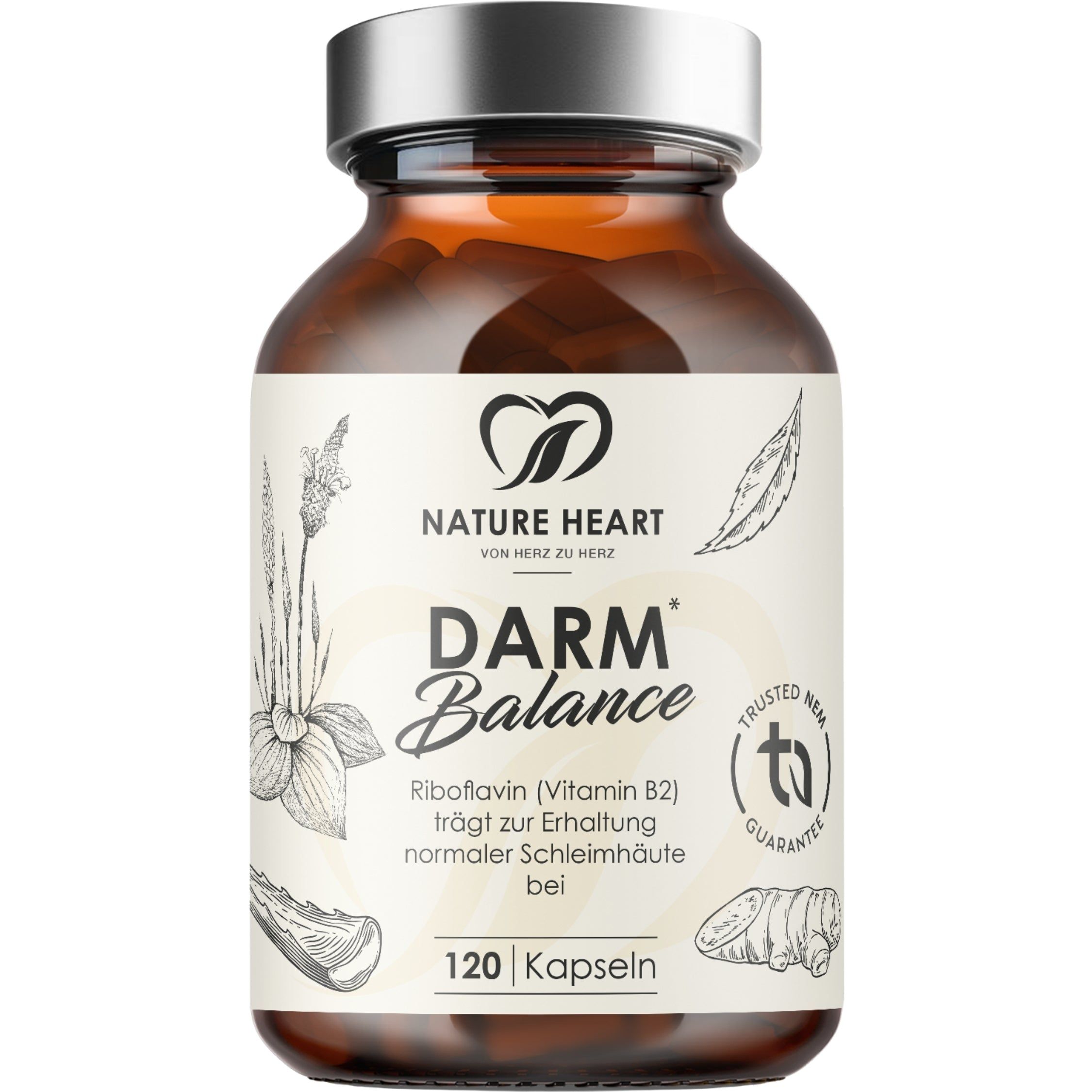 Braunglasflasche mit 120 Kapseln Nature Heart Darm Balance, enthält Riboflavin (Vitamin B2).