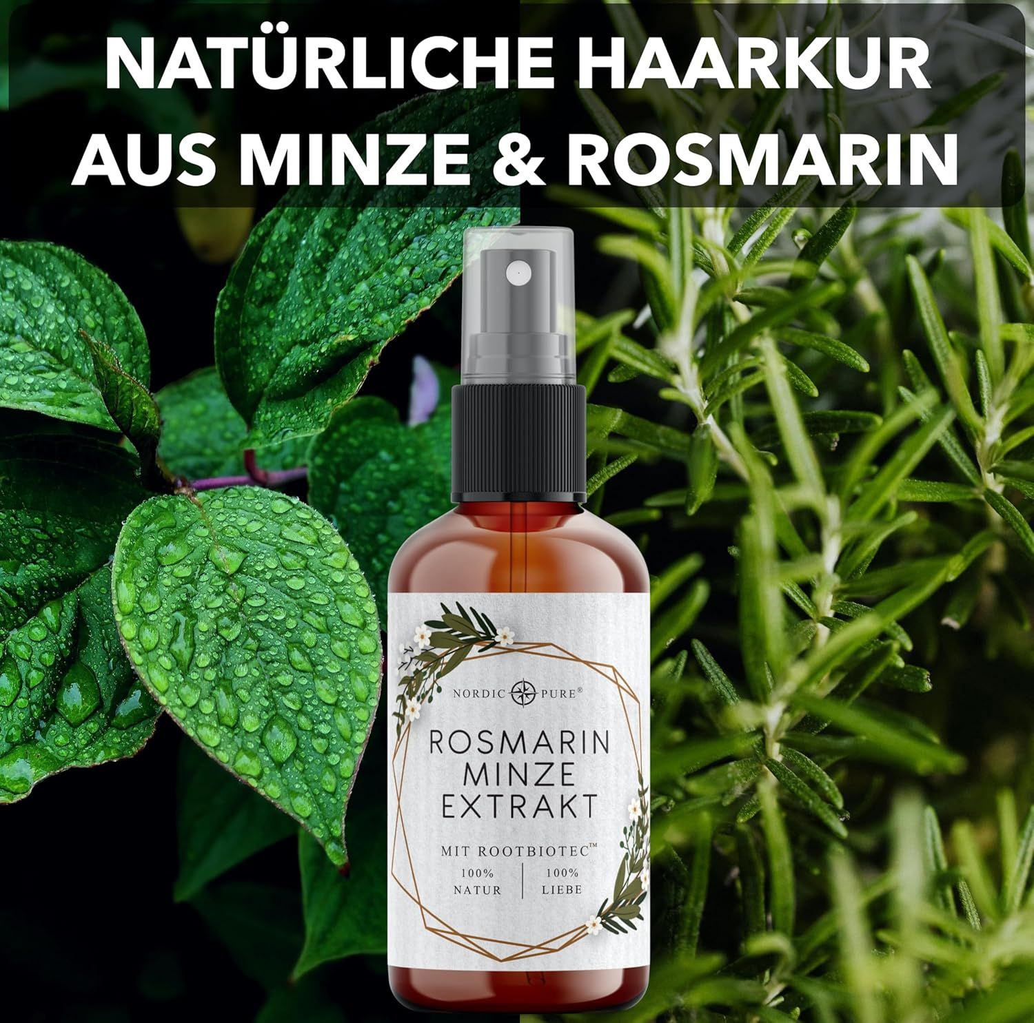 Braune Sprühflasche vor Pflanzenhintergrund. Text: Natürliche Haarkur aus Minze & Rosmarin. Nordic Pure Logo. Produktetikett.