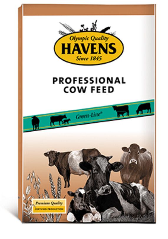 Havens Cow Junior+