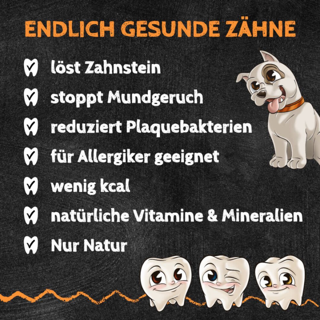 Grafik mit Text: Endlich gesunde Zähne. Checklisten mit Vorteilen. Cartoon-Hund und Zähne. Nur Natur Logo.