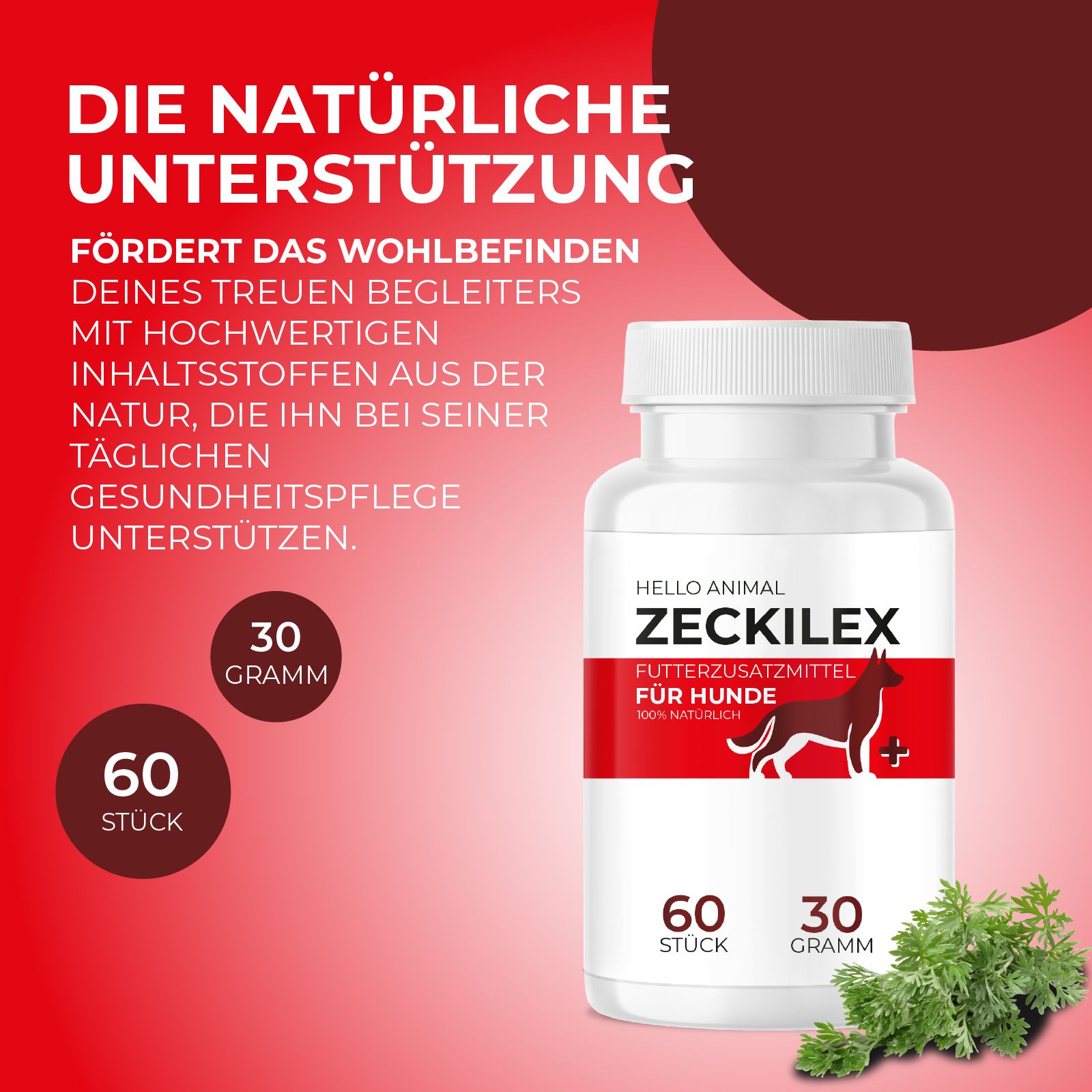 Hello Animal® Zeckilex Blister | Zecken Tabletten ausschließlich für Hunde