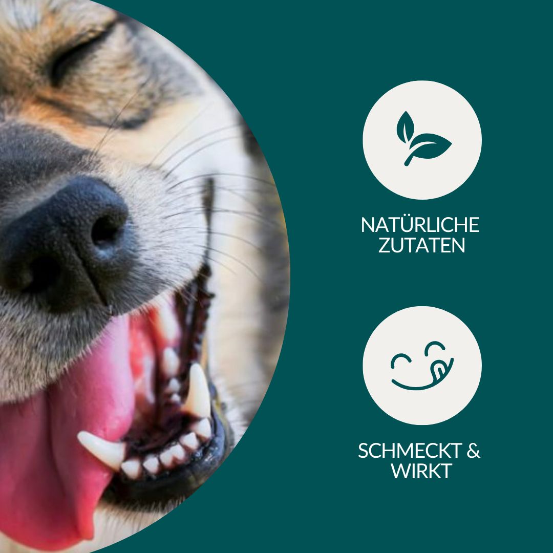 vetevo Belly Bites Hund