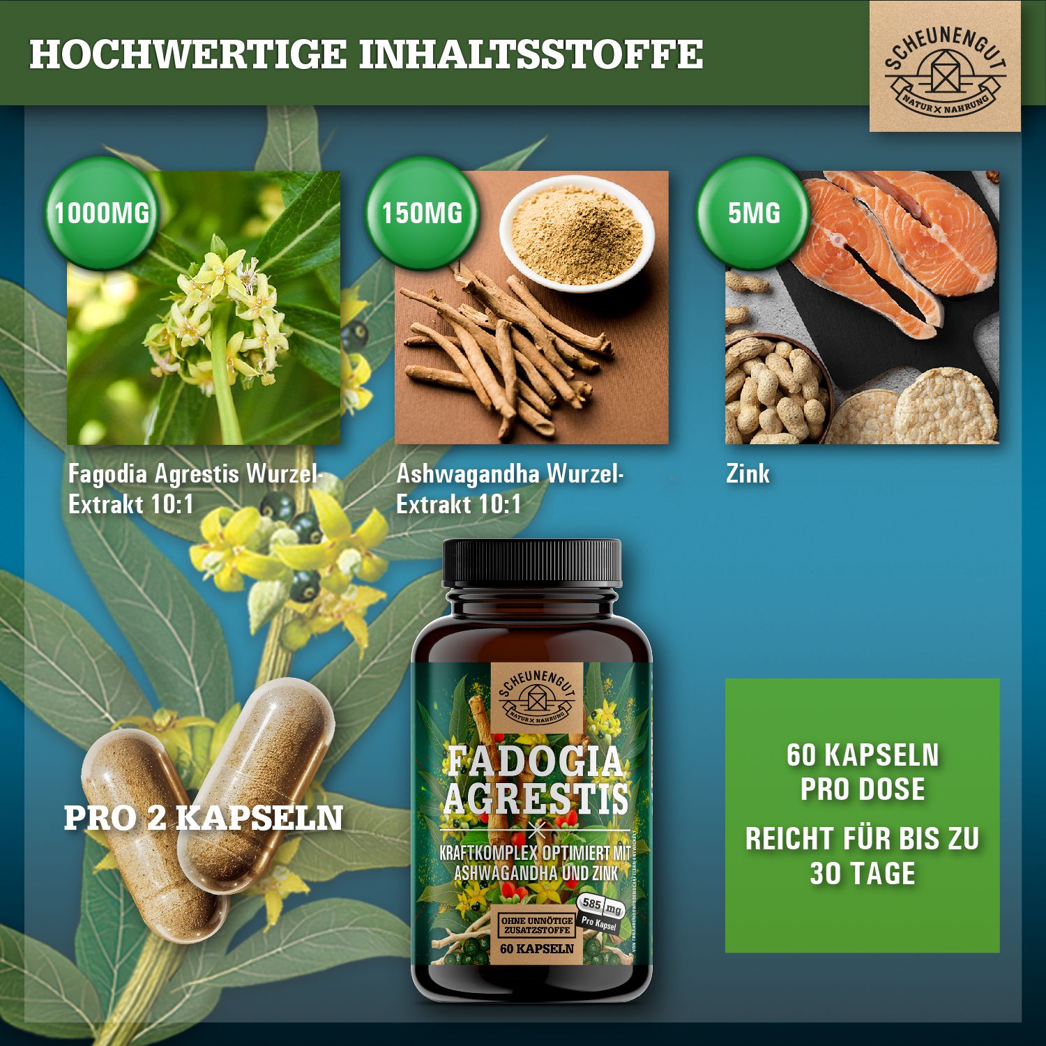 Scheunengut® Fadogia Agrestis | Hochdosierter 10:1 Extrakt optimiert mit Ashwagandha und Zink