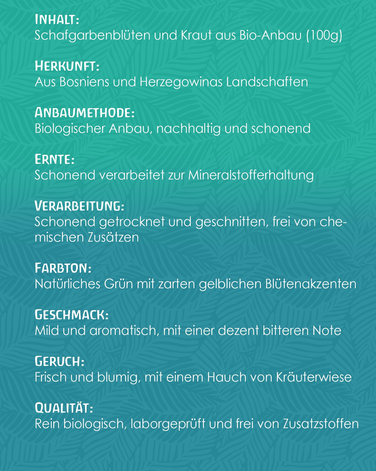 Text auf blau-grünem Hintergrund. Inhalt, Herkunft, Anbaumethode, Ernte, Verarbeitung, Farbton, Geschmack, Geruch und Qualität von Schafgarbenblüten und -kraut.