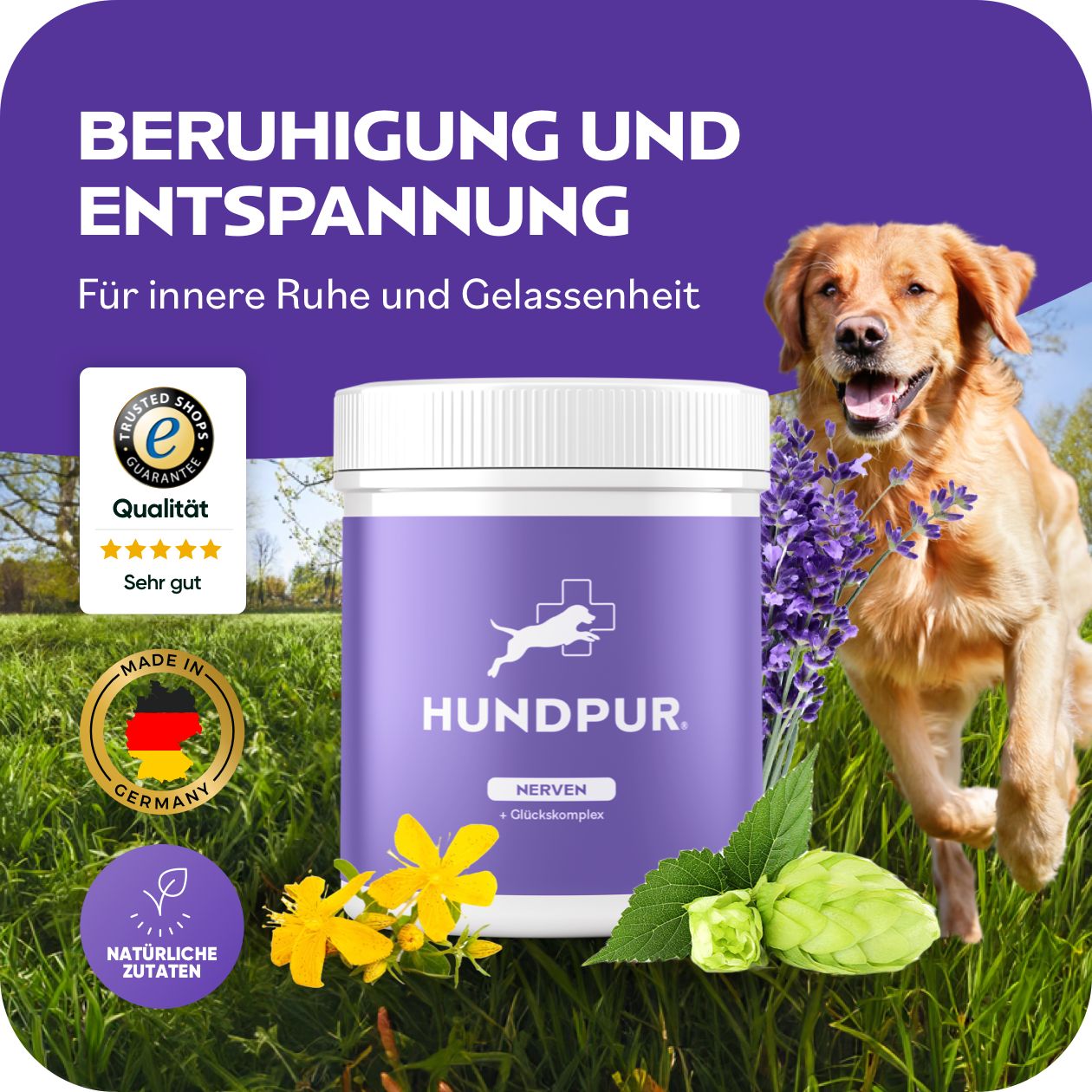 Hundpur® Nerven MIT Glückskomplex 300 g