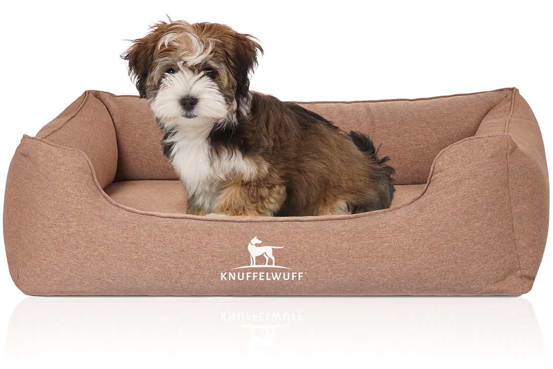 Hundebett Leano, braun, mit Hund. Rechteckige Form mit erhöhten Seiten. Marke Knuffelwuff mit Logo.