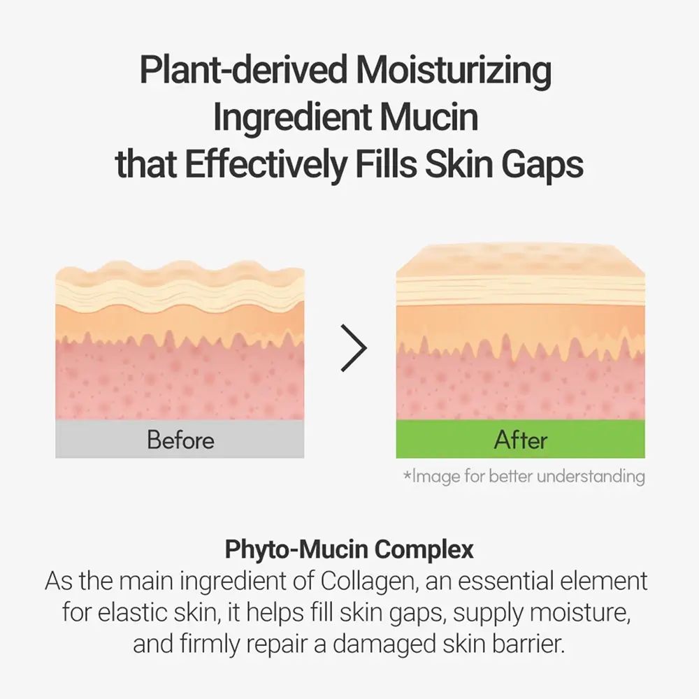 Grafik: Hautschichten vor und nach der Anwendung. Text: Plant-derived Moisturizing Ingredient Mucin that Effectively Fills Skin Gaps. Phyto-Mucin Complex.