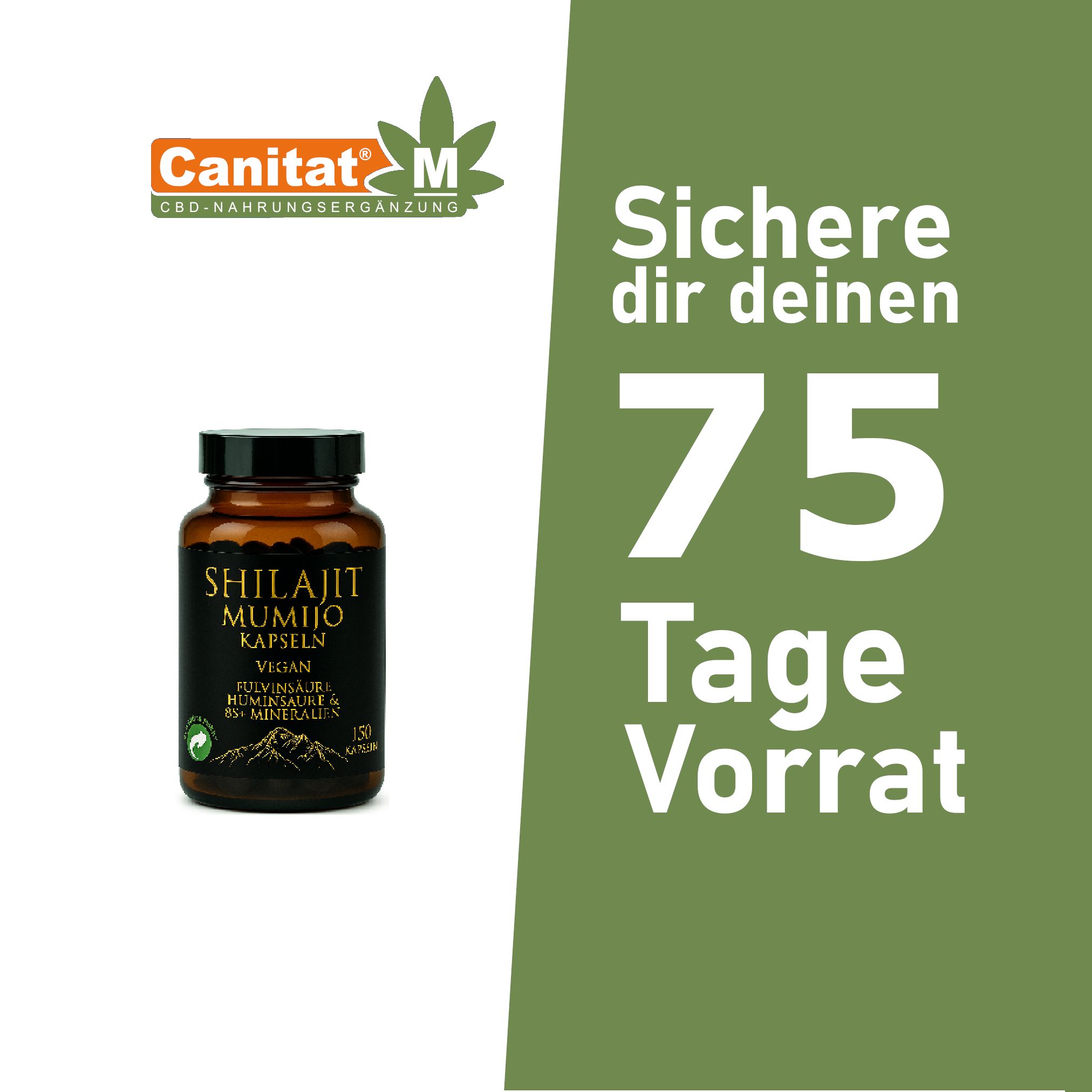 Braune Glasflasche mit Etikett. Aufschrift: Shilajit Mumijo Kapseln, Vegan. Text: 75 Tage Vorrat.