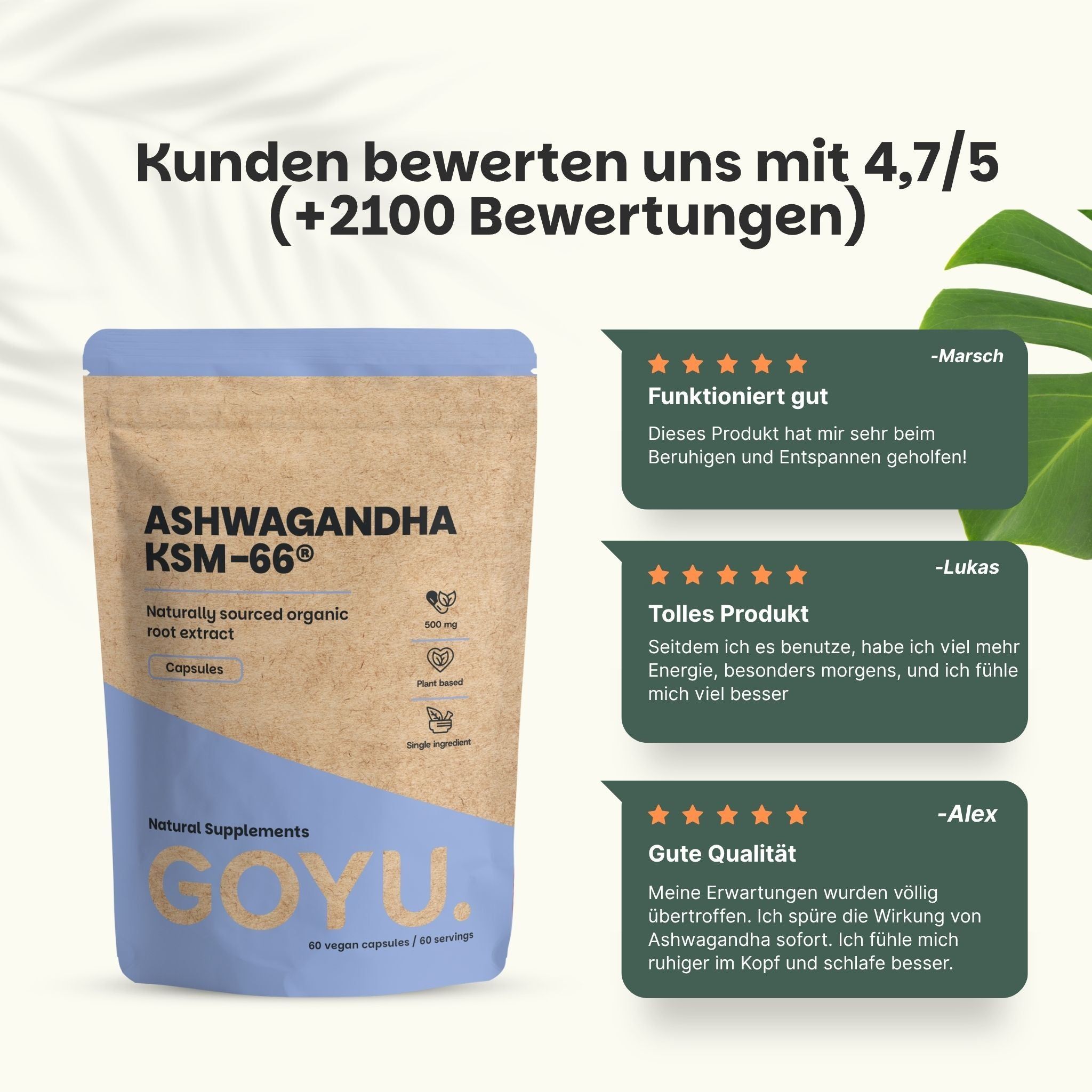 Brauner Beutel mit Ashwagandha KSM-66 Kapseln, 500 mg, Bio-Extrakt, neben grünen Blättern.