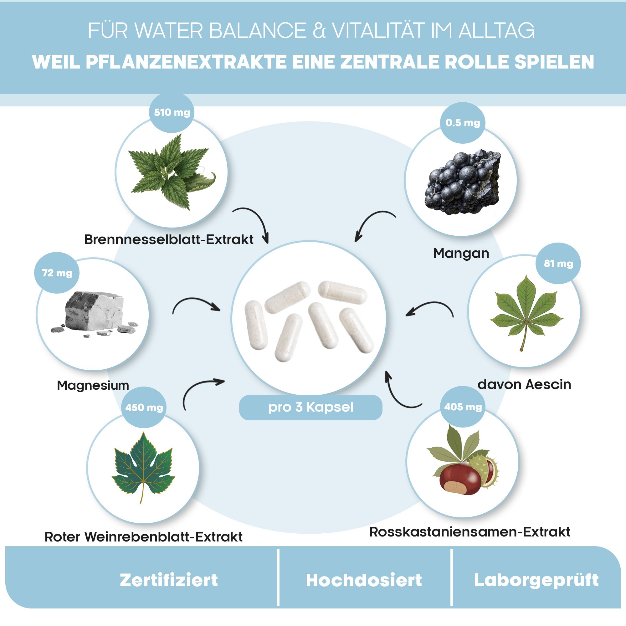 Aqua Balance - 5-in-1 Nährstoffkomplex mit Brennnessel, rotem Weinlaub & Rosskastanie