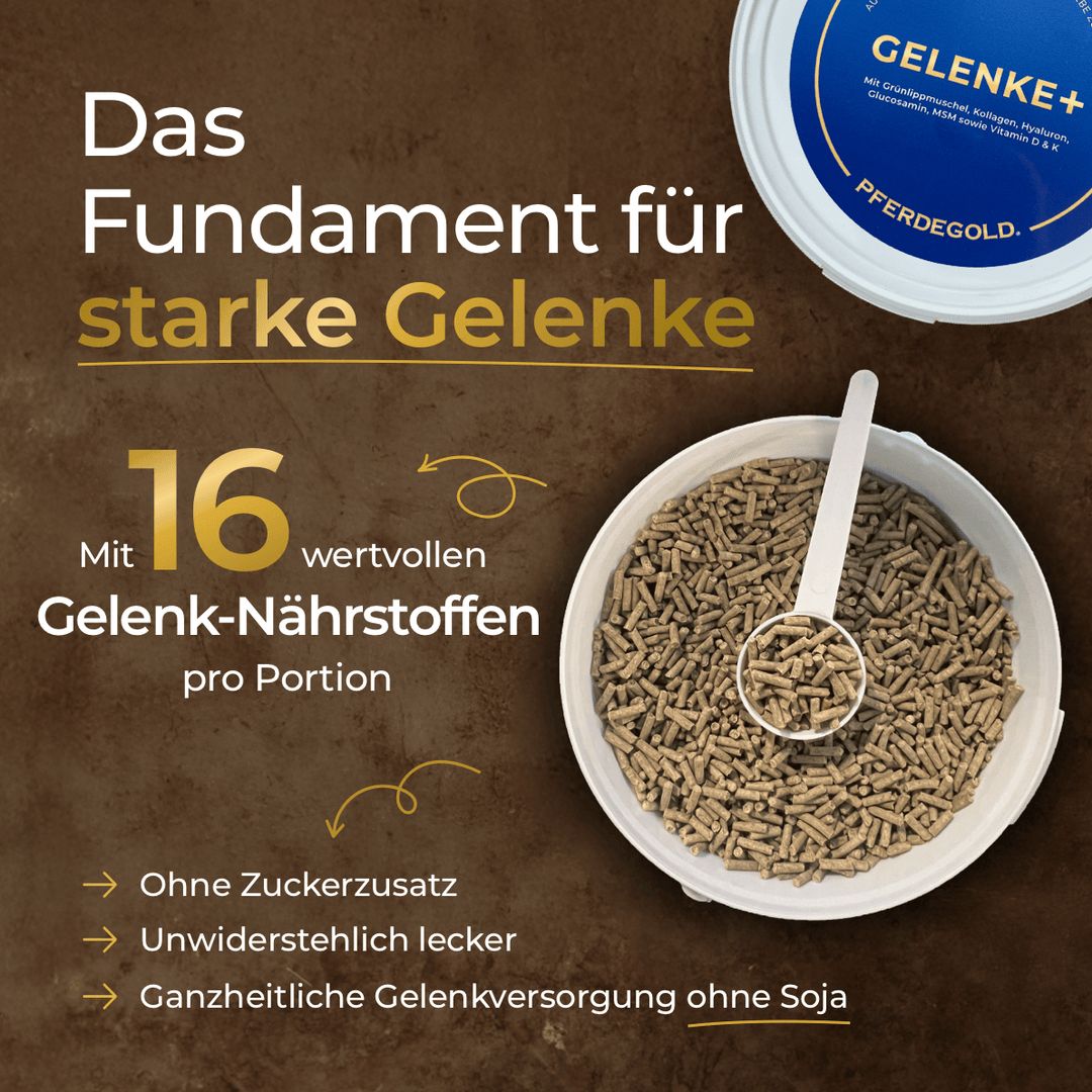 Pferdegold Gelenke+