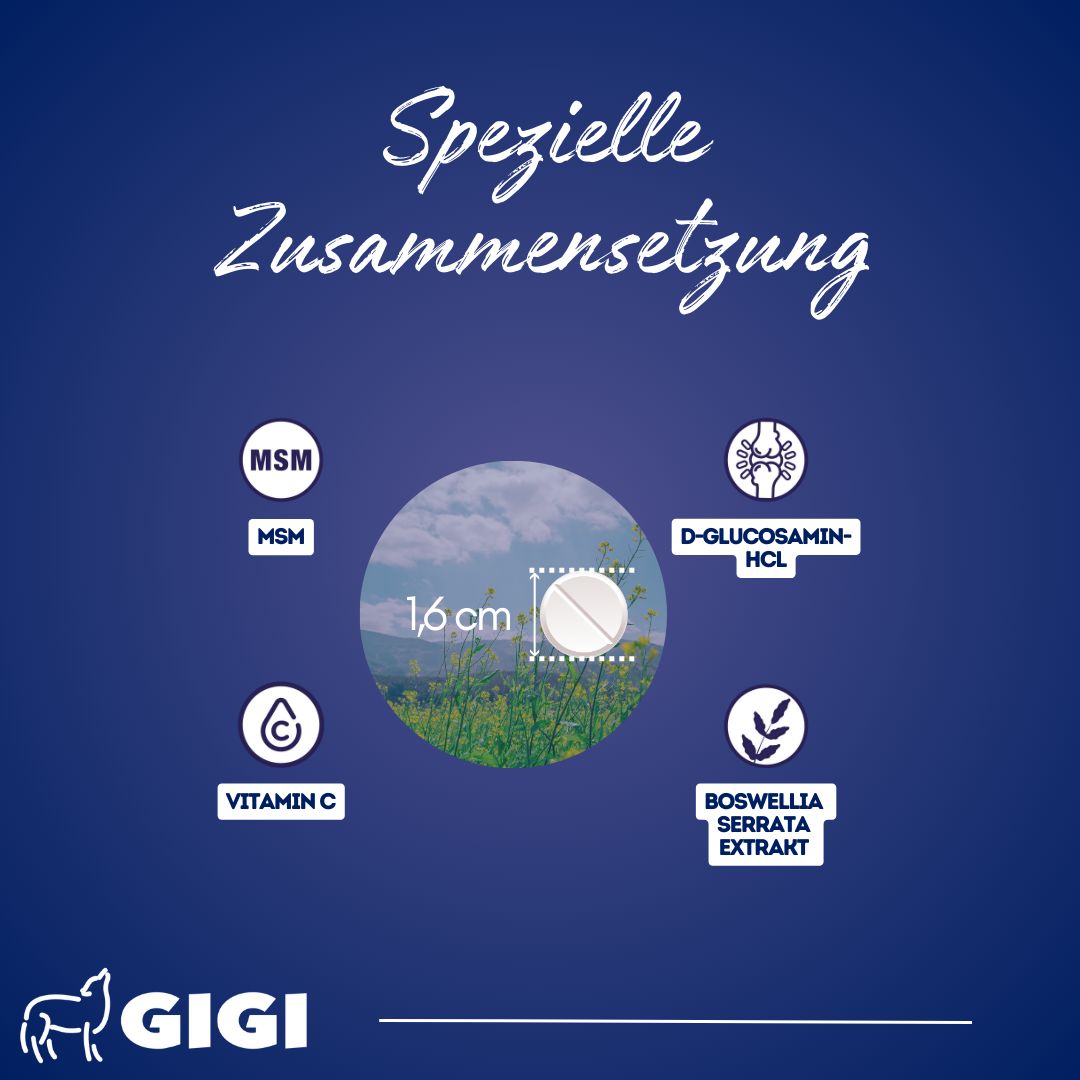 GIGI VET Hunde Gelenke & Knochen