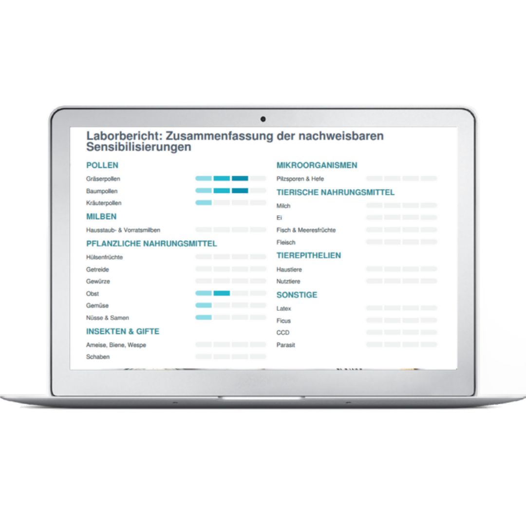 Laptop mit Testergebnissen. Tabellarische Übersicht über Allergene, wie Pollen, Milben, Nahrungsmittel.