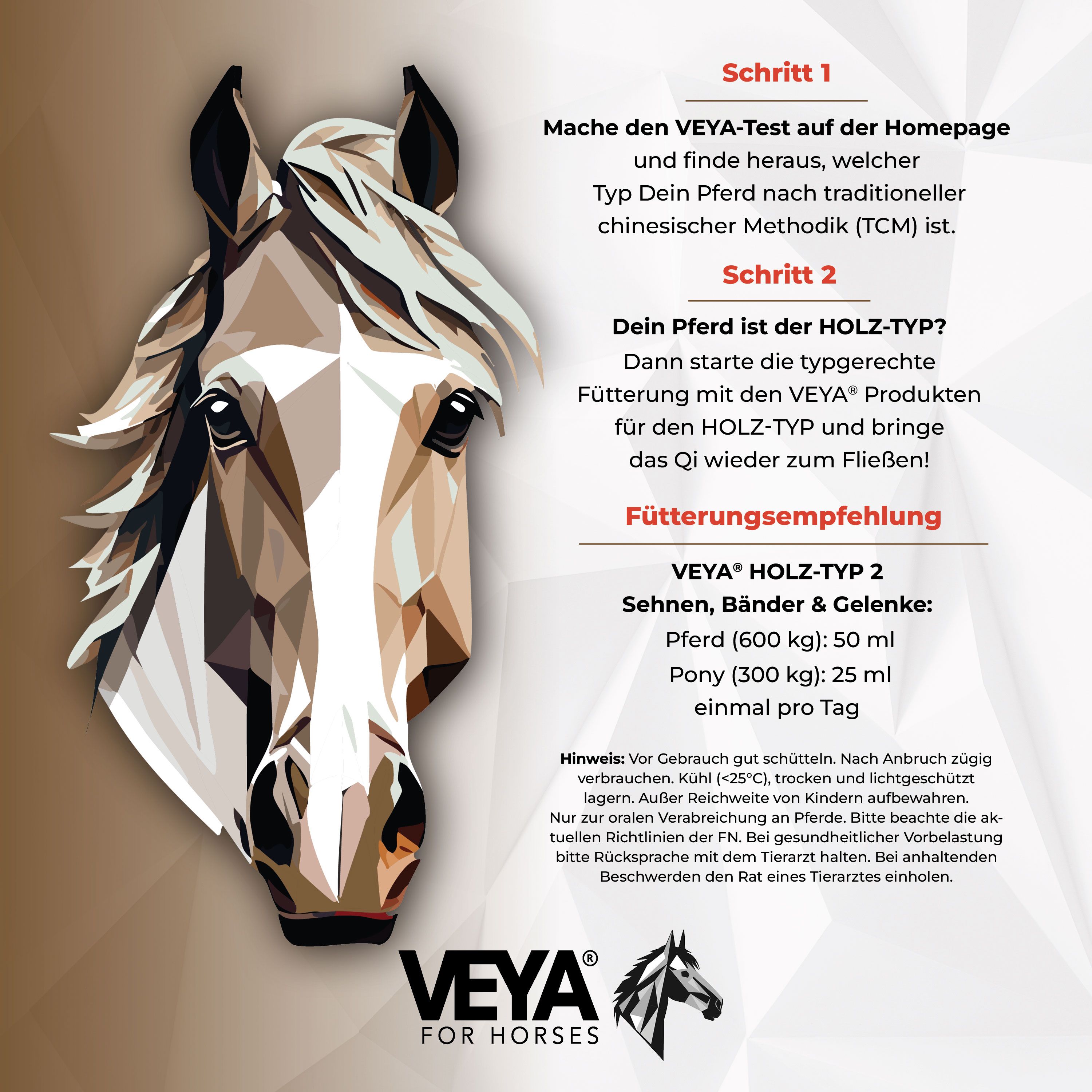 VEYA HOLZ-TYP 2 Sehnen, Bänder und Gelenke