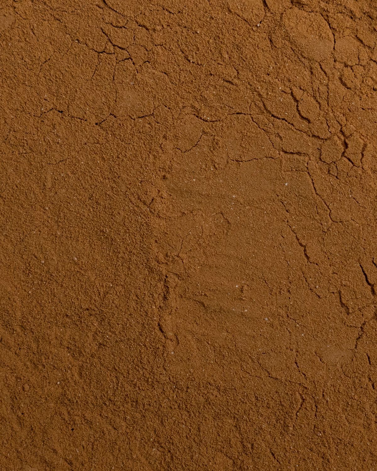 Nahaufnahme von braunem Guarana-Pulver. Die Textur ist körnig und fein. Die Oberfläche ist uneben und weist Risse auf.