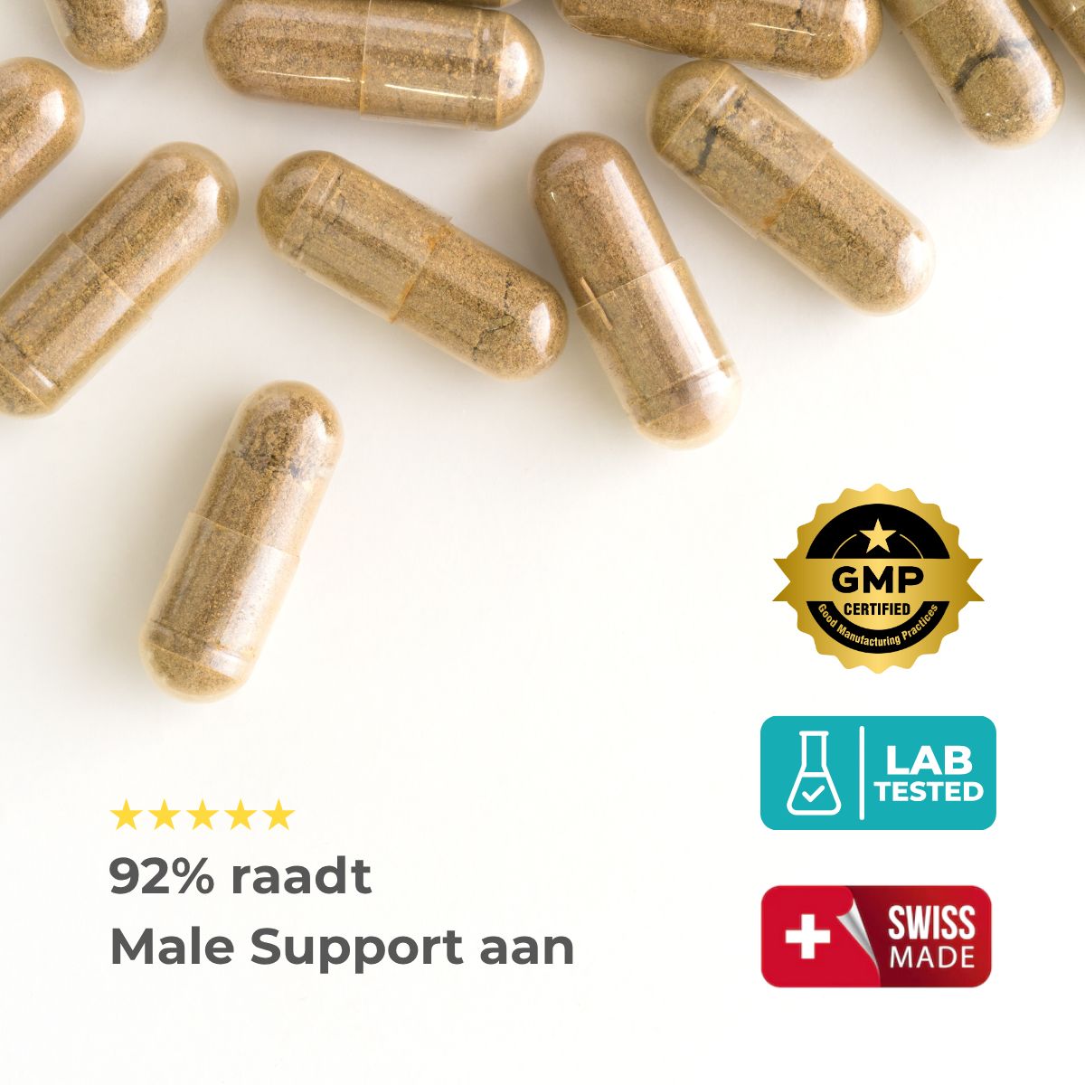 Capsules op witte achtergrond. Tekst: 92% bevelen Male Support aan. GMP-gecertificeerd, lab getest, Swiss Made.