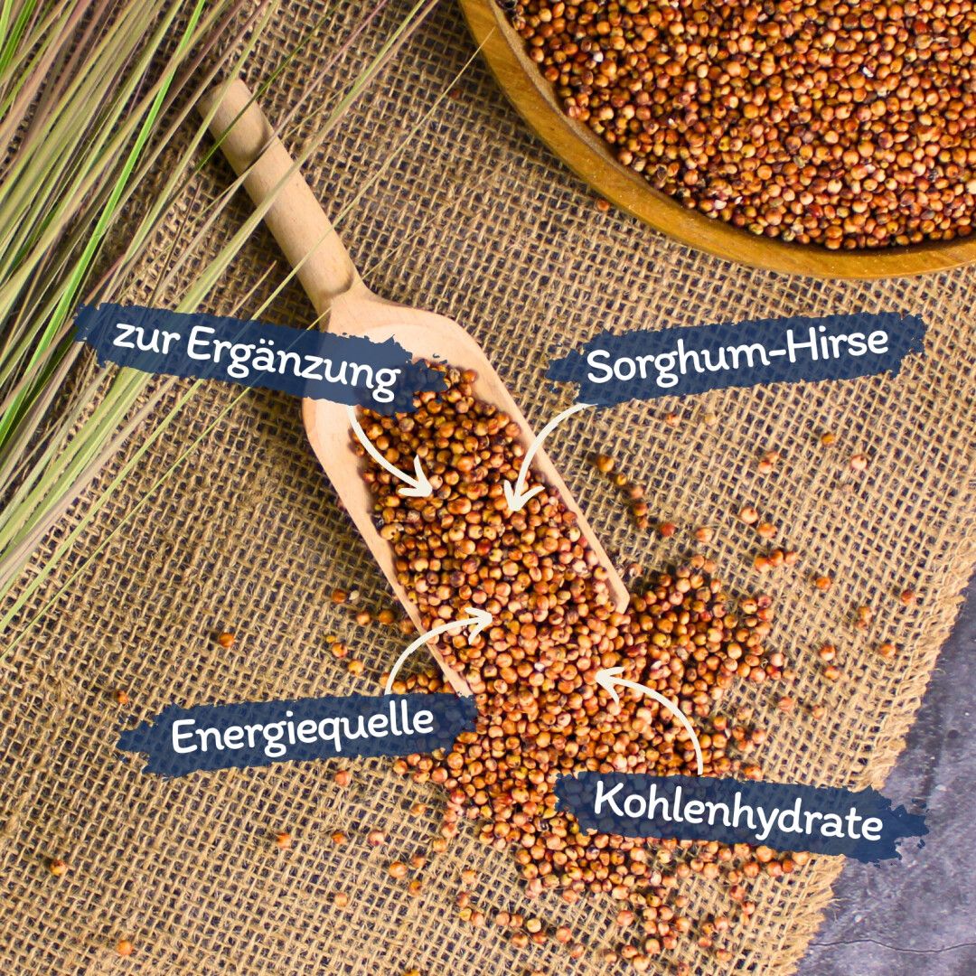 Sorghum-Hirse in einem Holzschieber. Beschriftungen: Energiequelle, Kohlenhydrate, zur Ergänzung.