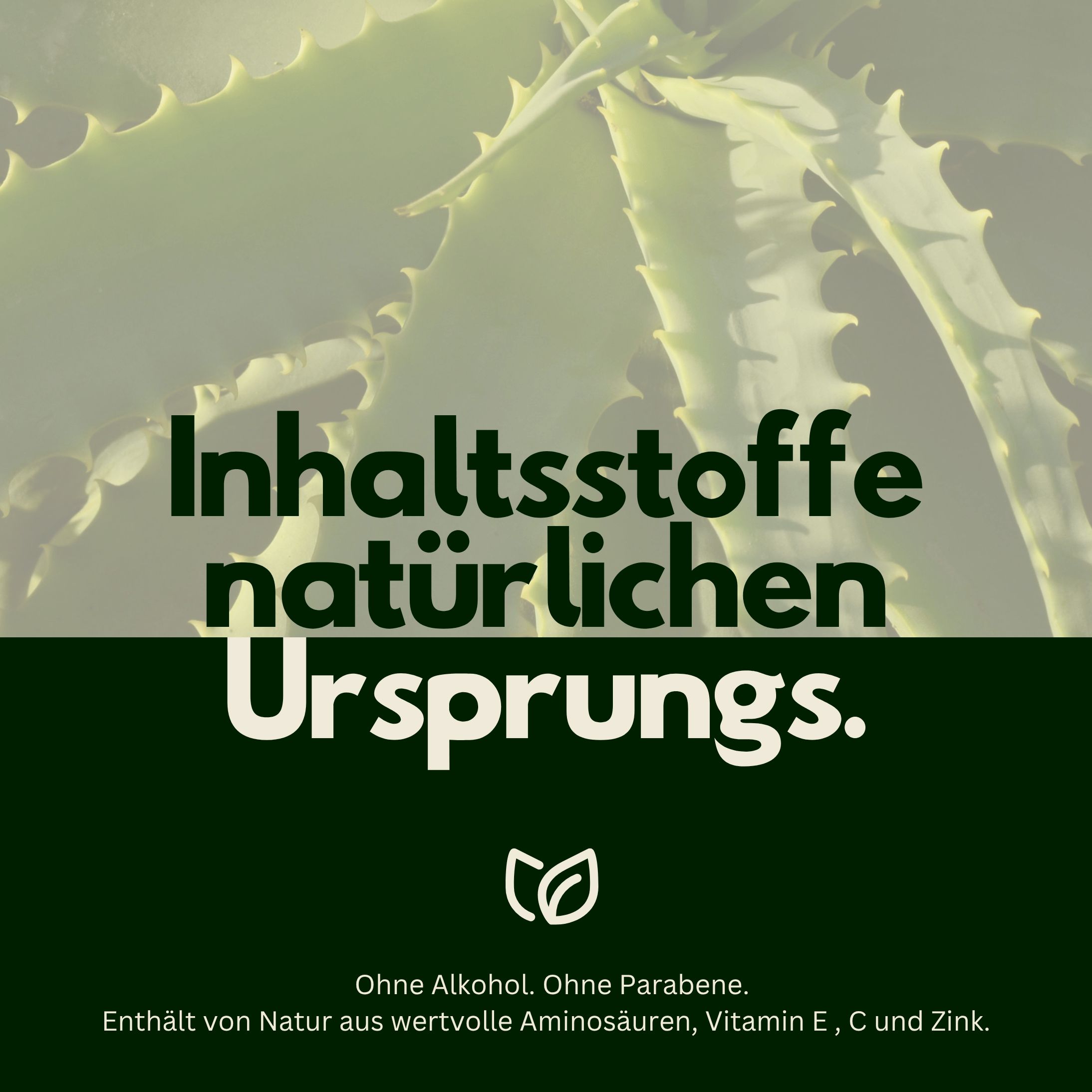 Grüner Hintergrund mit Text: Inhaltsstoffe natürlichen Ursprungs. Ohne Alkohol, Parabene.