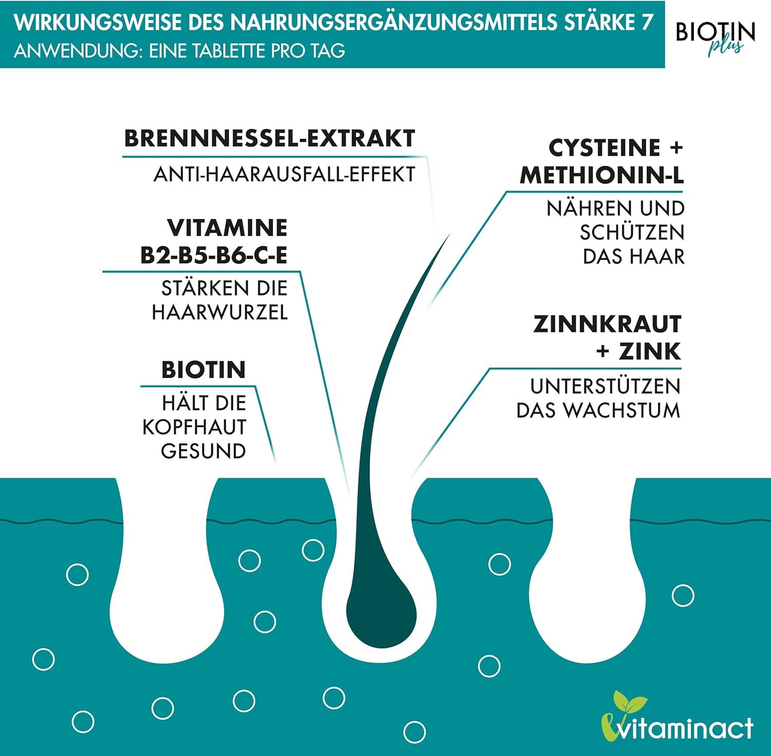 Vitaminact Biotin Plus Tablette