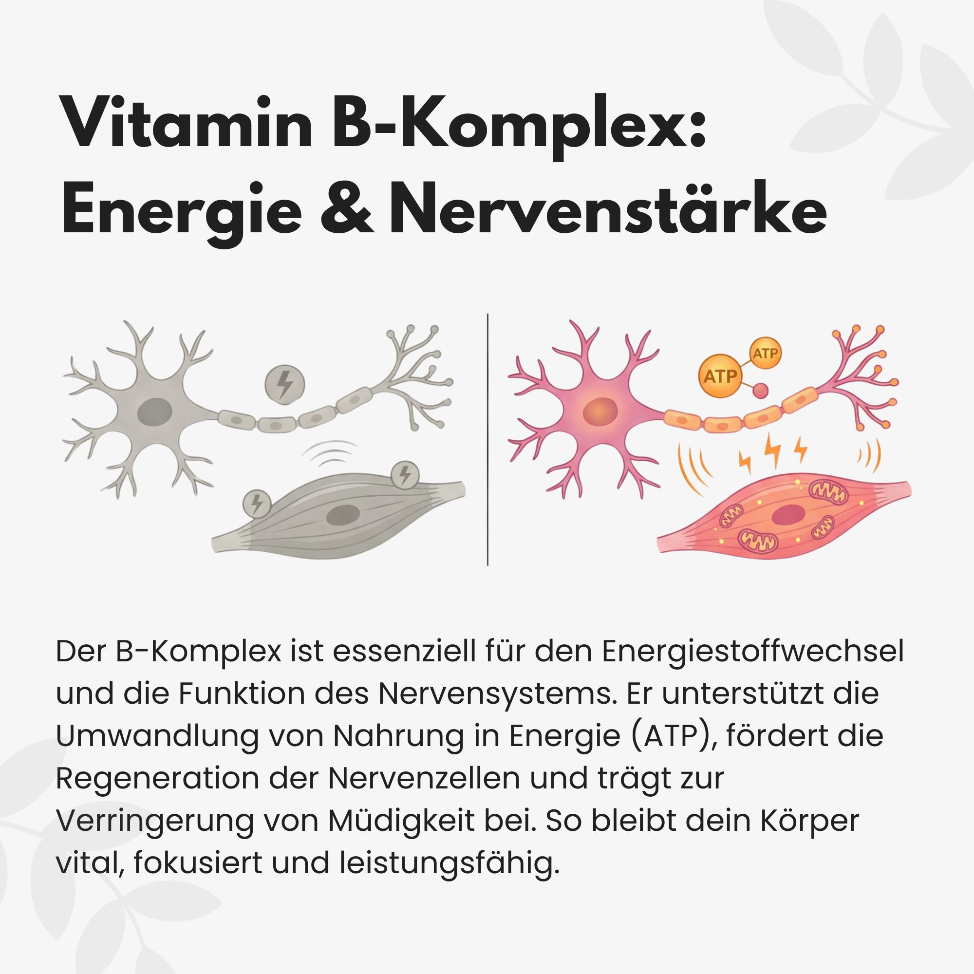 myvial B-Komplex