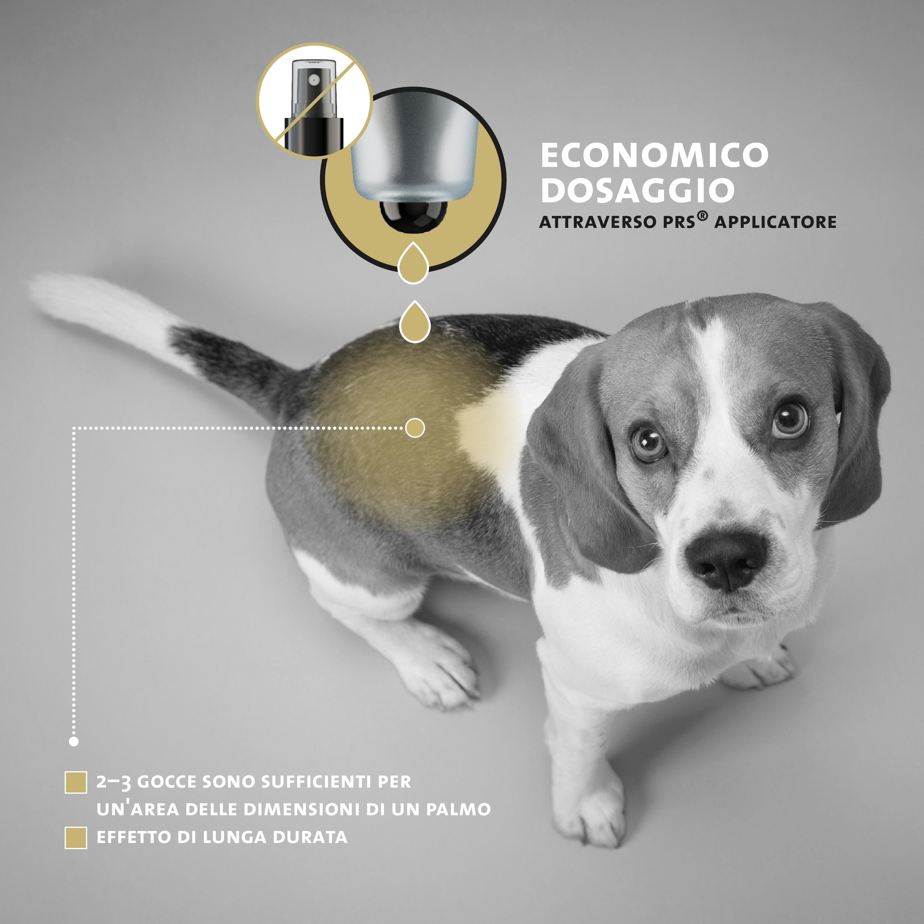 Hund mit Dosierungsanleitung. 2-3 Tropfen für eine handflächengroße Stelle. Lang anhaltende Wirkung.