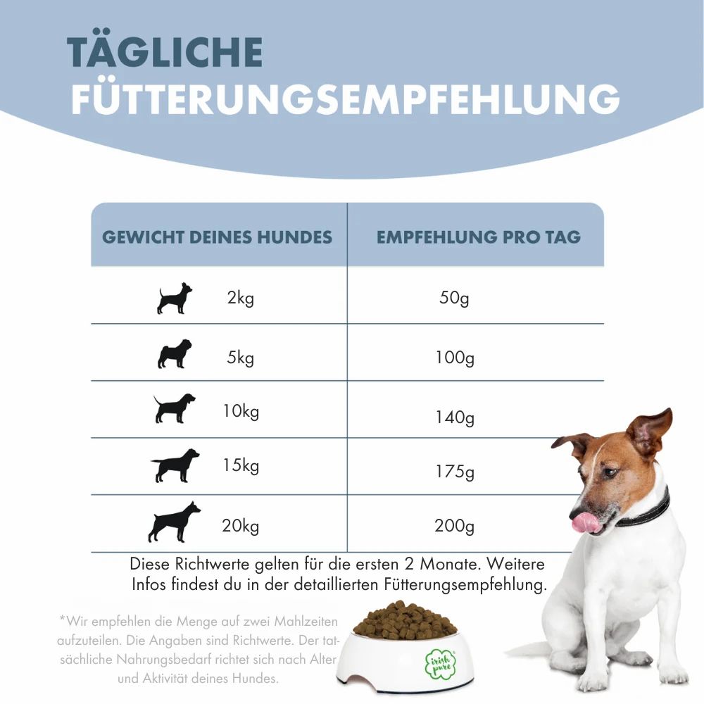 Tägliche Fütterungsempfehlung für Hunde basierend auf Gewicht, mit einem Hund und Futternapf.