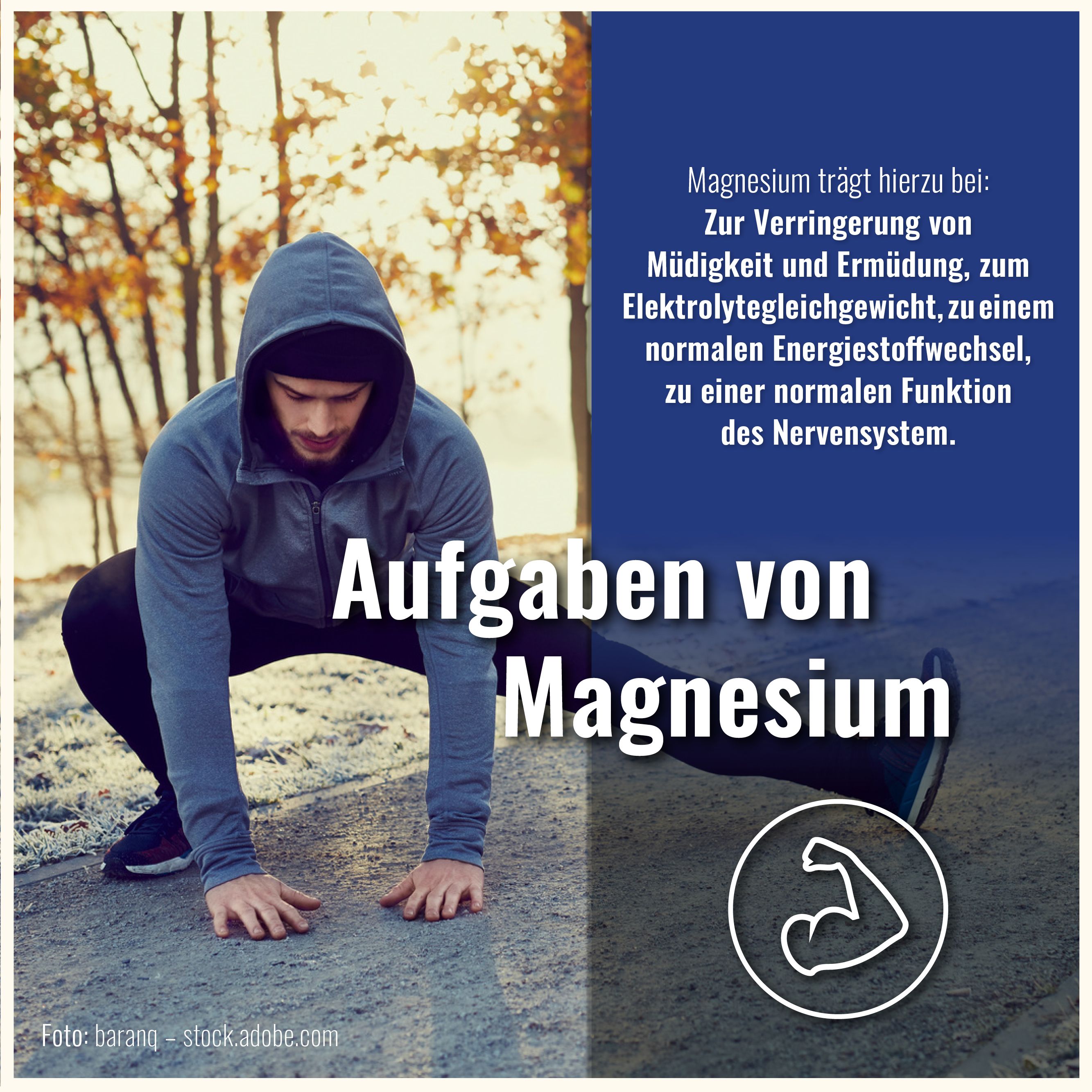 Sports & Health Magnesium Bisglycinat Kapseln