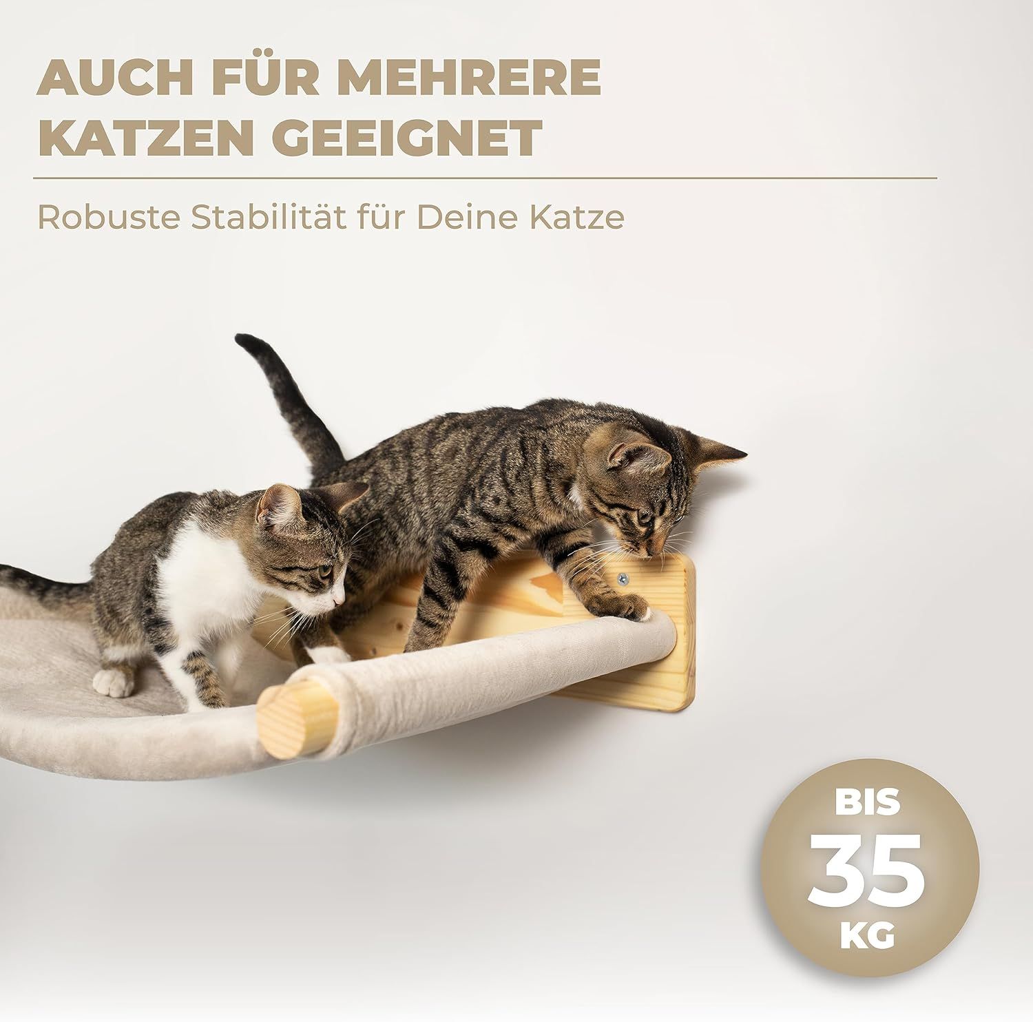 WOOWOOD® Katzenhängematte aus Massivholz inkl. 2 Katzentreppen Wand