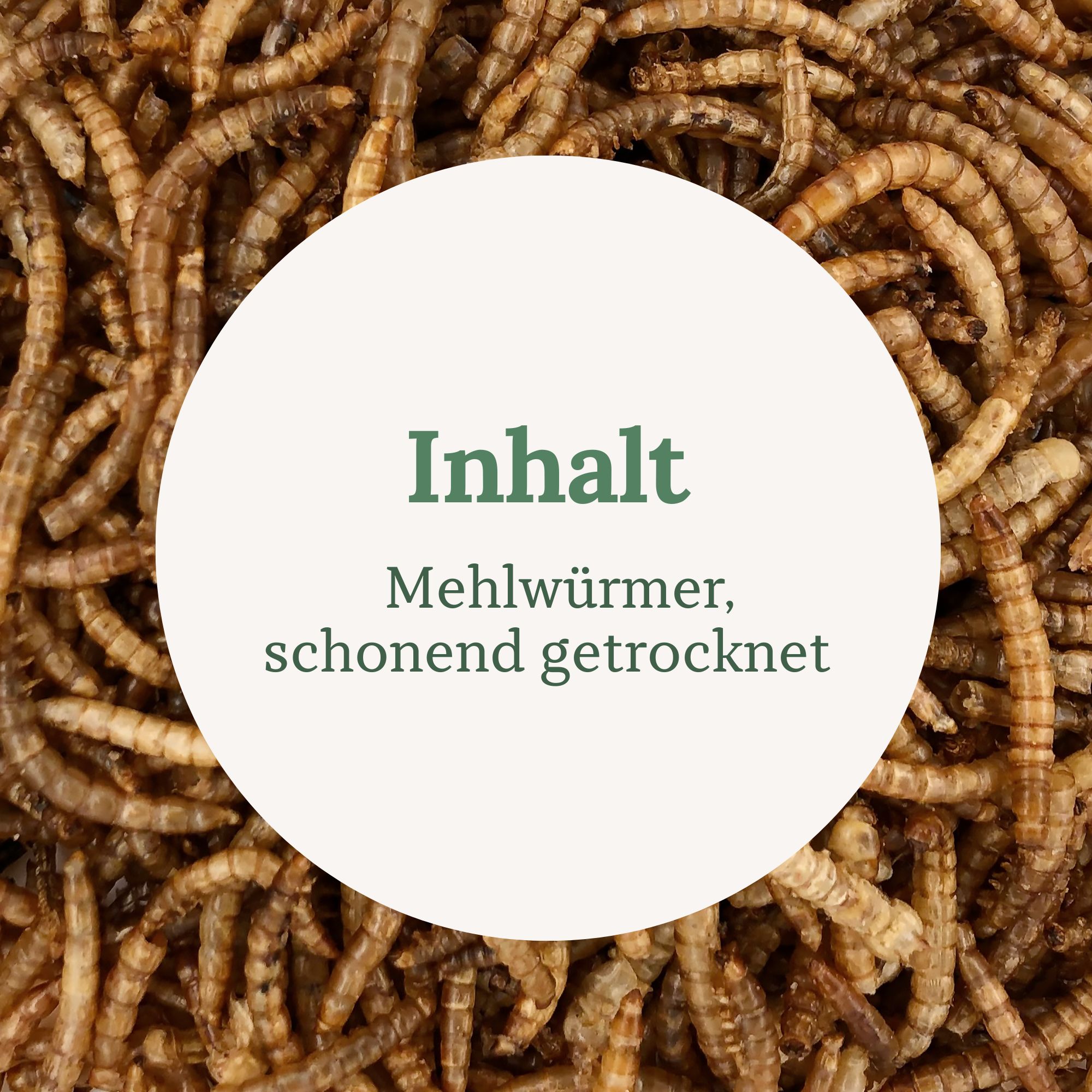 Getrocknete Mehlwürmer, braun. Text: Inhalt: Mehlwürmer, schonend getrocknet.
