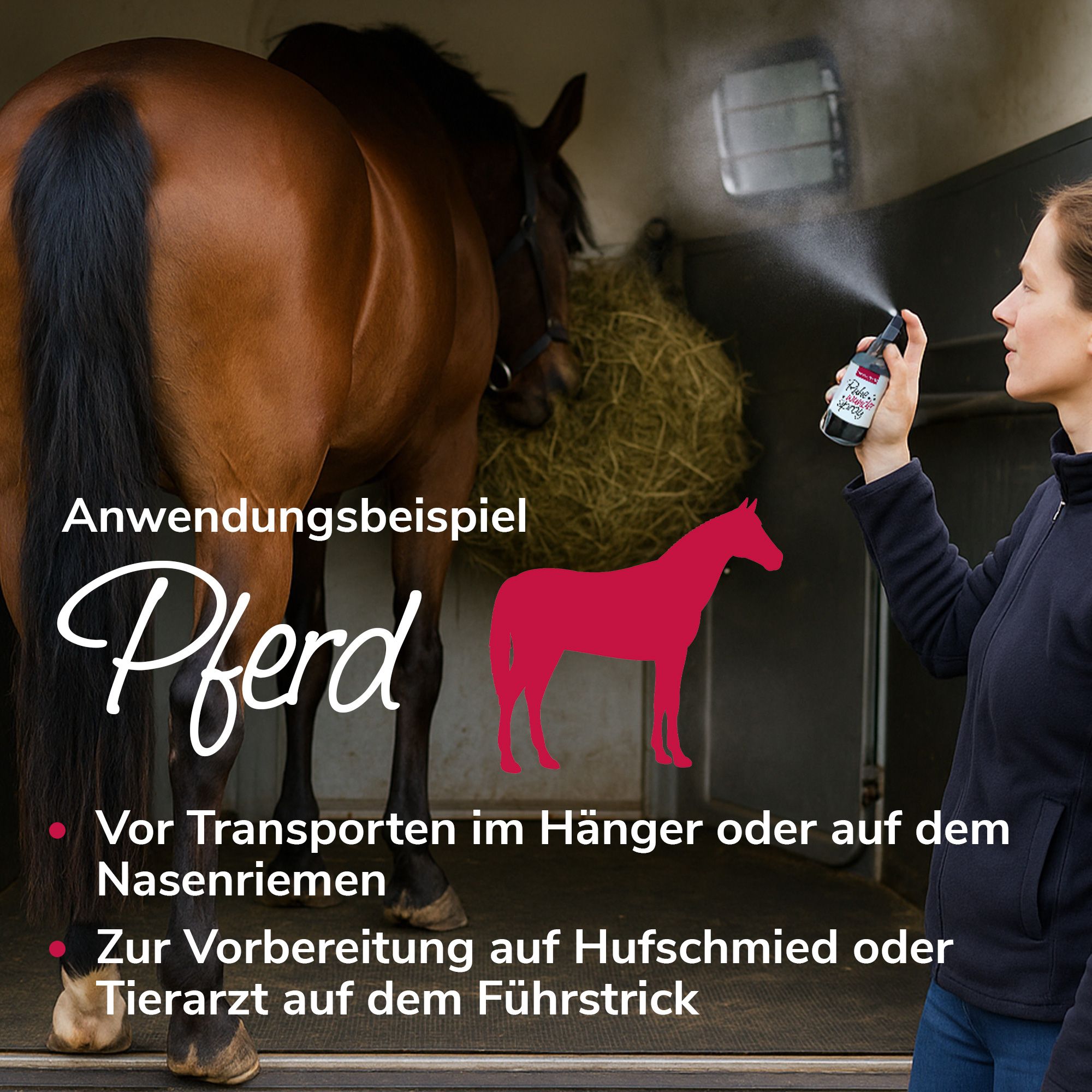 Frau sprüht auf Pferd im Stall. Text: Anwendungsbeispiel Pferd. Rote Punkte mit Text.