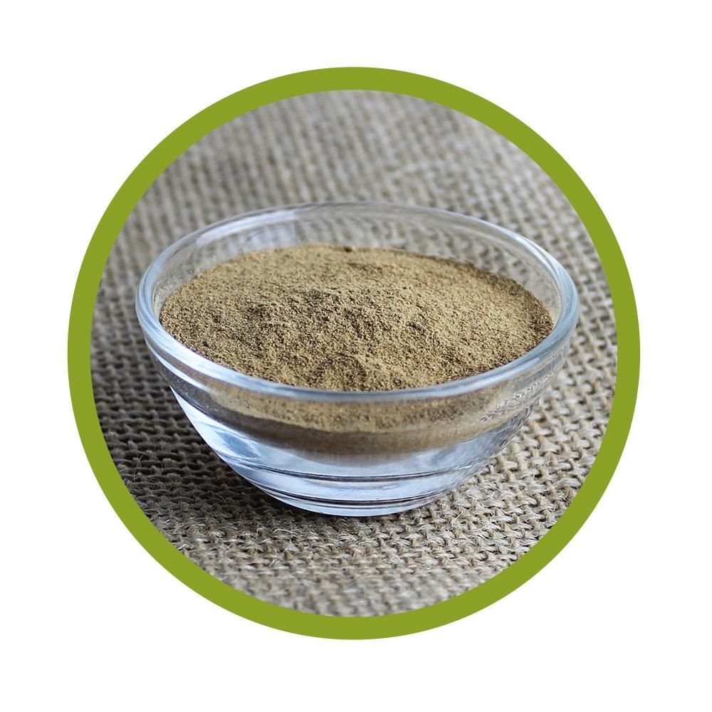 vitalundfitmit100® Bio Camu Camu Pulver