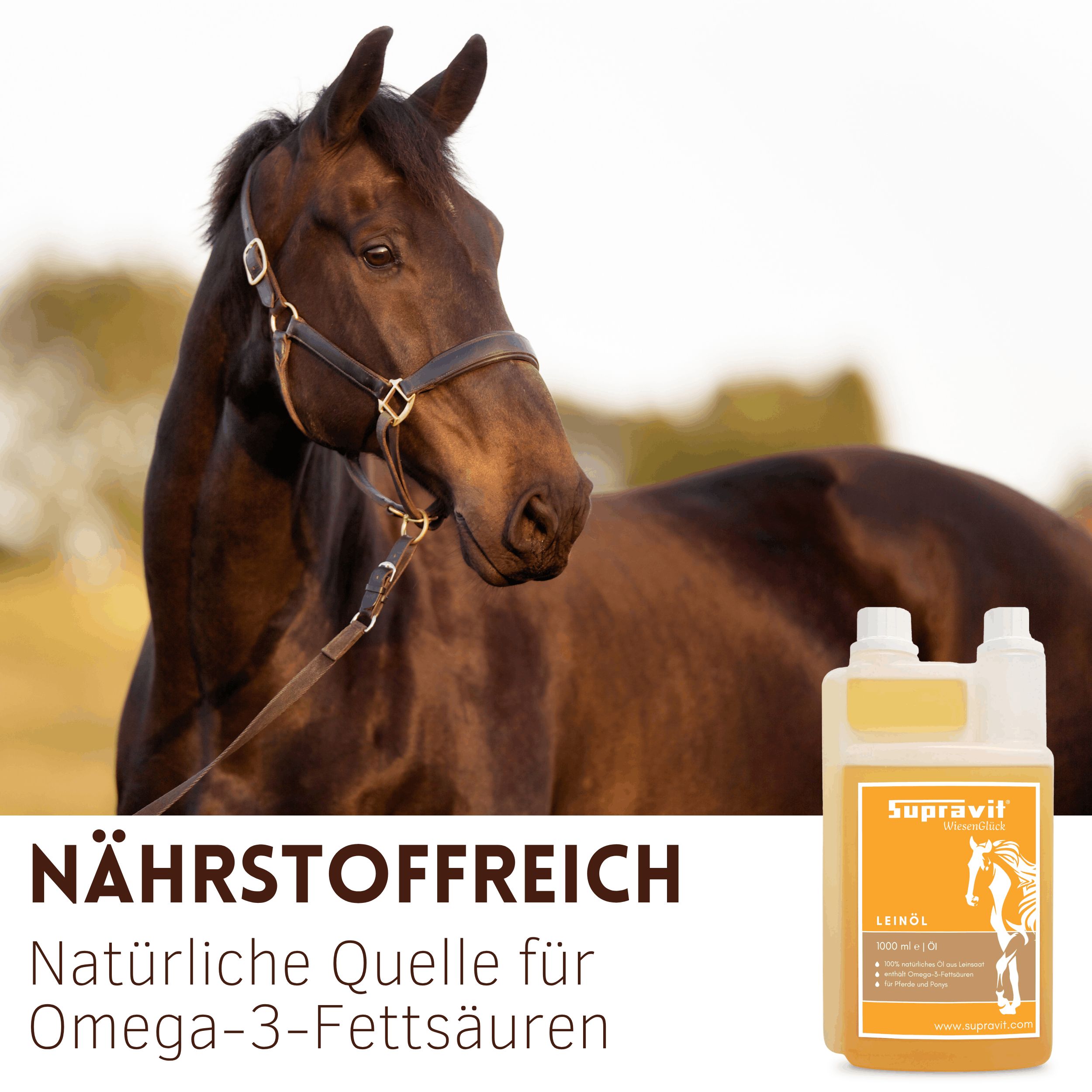 Pferd mit Halfter neben Produktflasche. Flasche mit Etikett: Supravit Leinöl. Text: Nährstoffreich, natürliche Quelle für Omega-3-Fettsäuren.