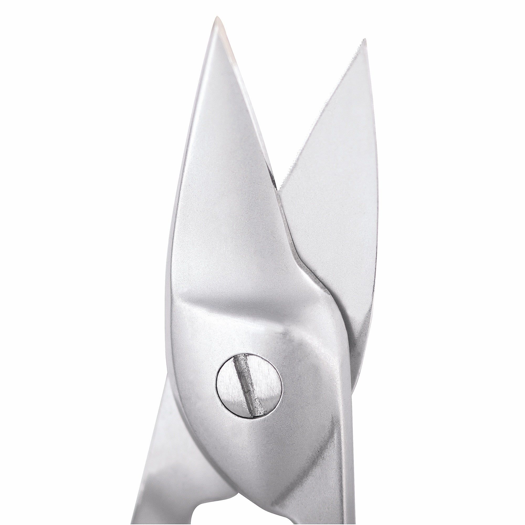 Nahaufnahme einer Nagelschere aus Edelstahl. Spitz zulaufende Schneiden, verbunden durch eine Schraube. Detailansicht.