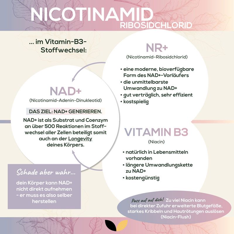Infografik zu Nicotinamid-Ribosidchlorid. NR+ (Nicotinamid-Ribosidchlorid) und Vitamin B3. NAD+ als Ziel. Text über Stoffwechsel.