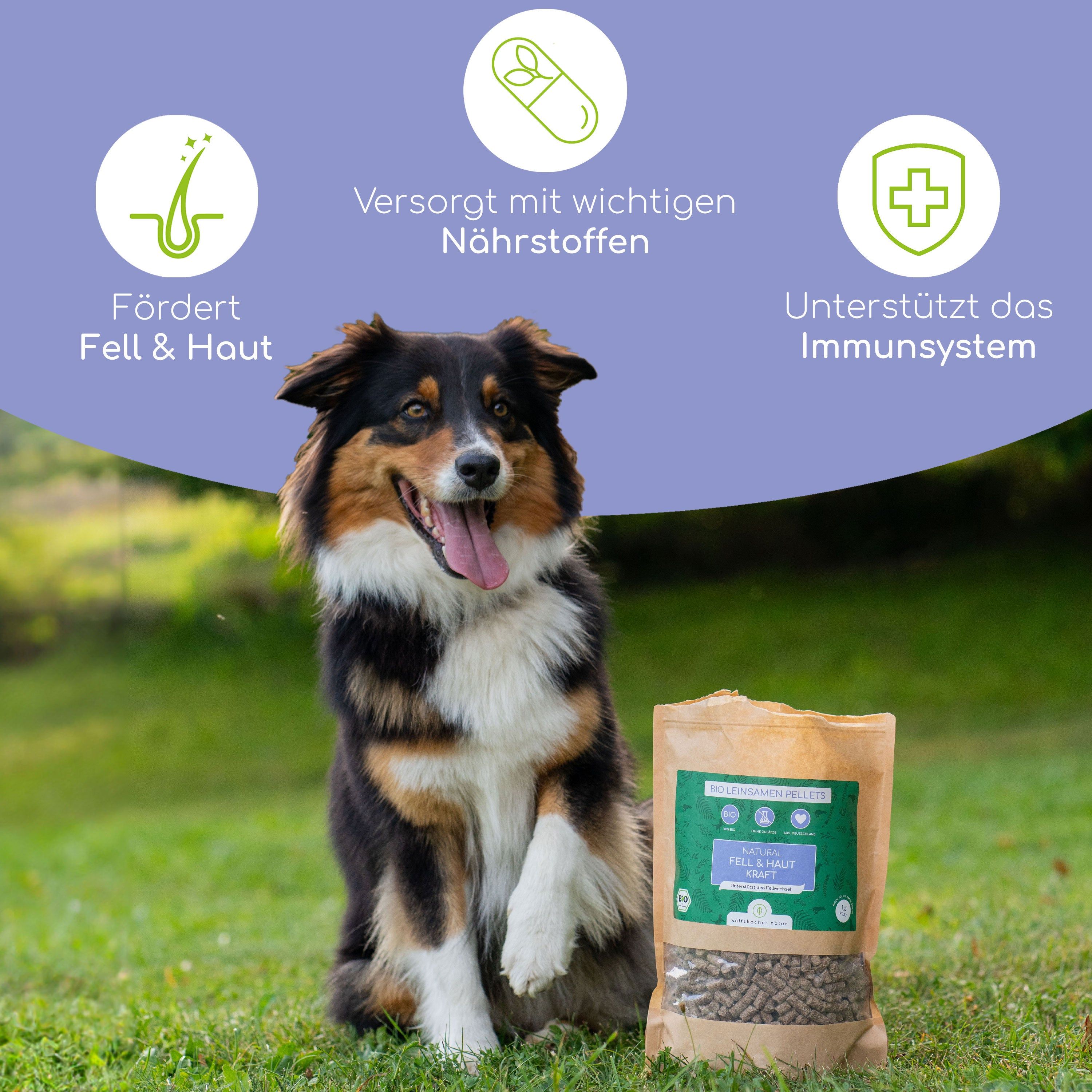 Hund sitzt neben einer Tüte mit Pellets. Text: Fördert Fell & Haut, Versorgt mit Nährstoffen, Unterstützt das Immunsystem.