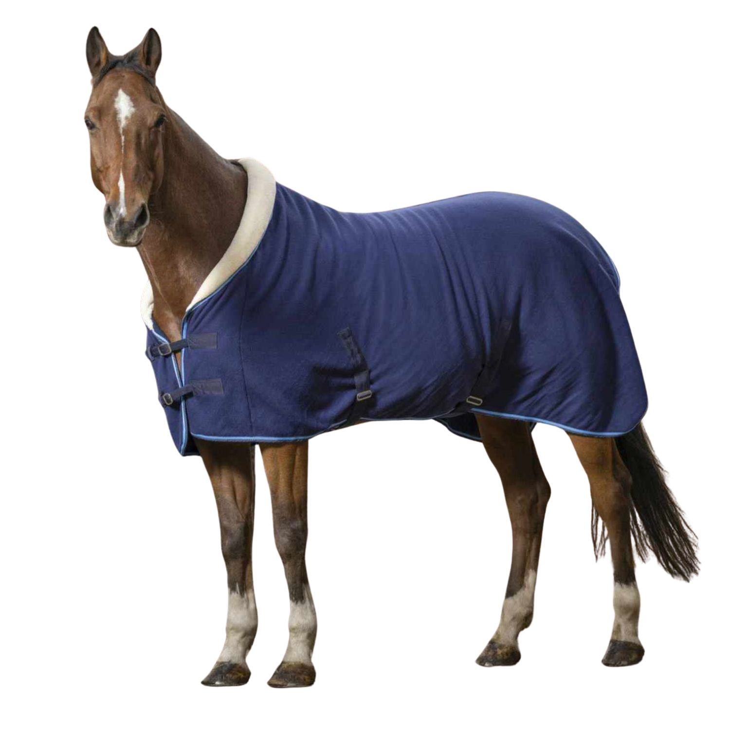 Riding World Abschwitzdecke