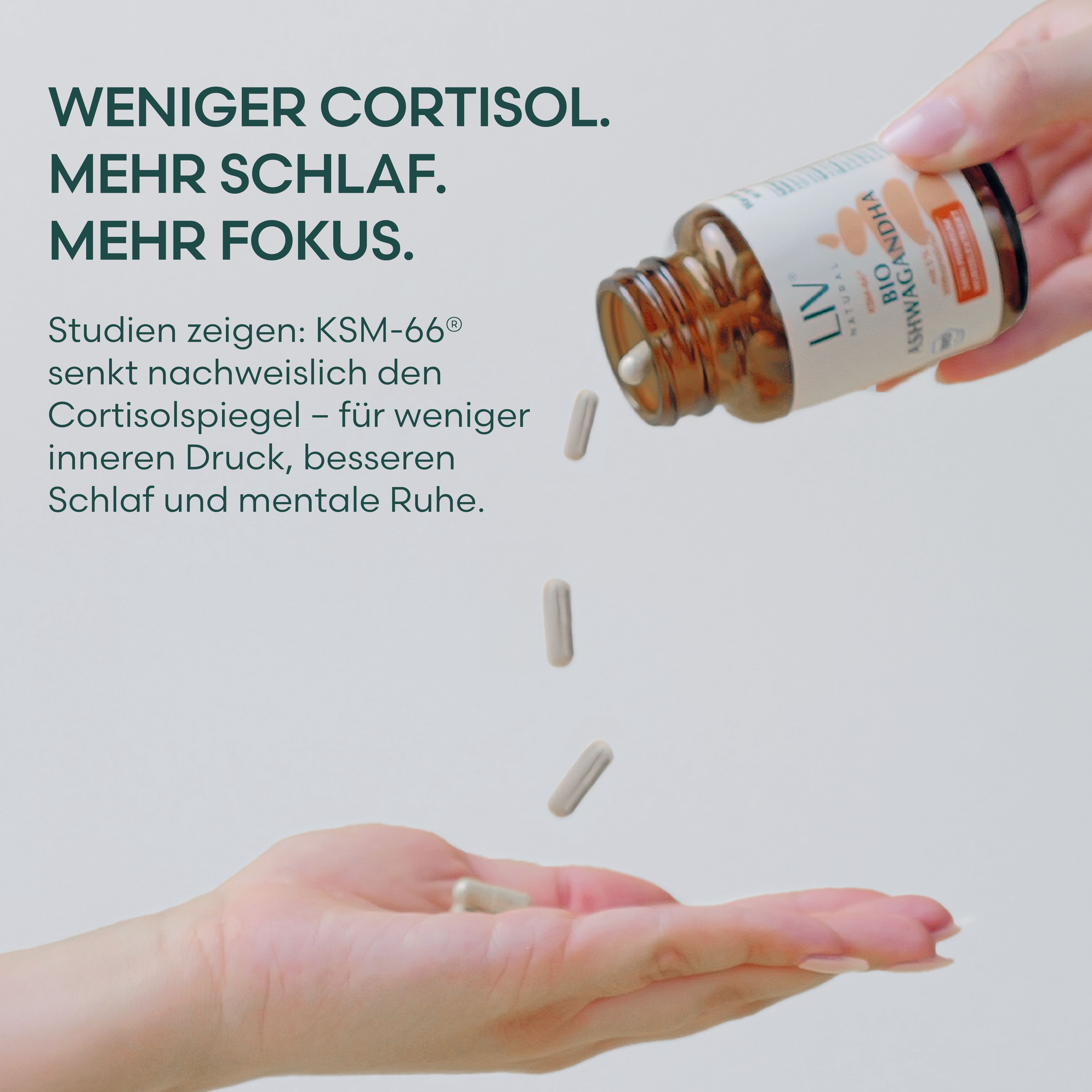LIV Bio Ashwagandha 120 Kapseln KSM-66® ohne Füllstoffe
