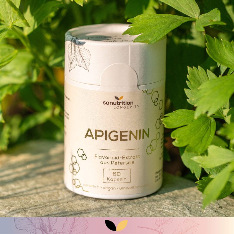 Zylindrische Dose Sanutrition® Apigenin vor grünem Hintergrund. Aufschrift: Apigenin aus Petersilie, 60 Kapseln.