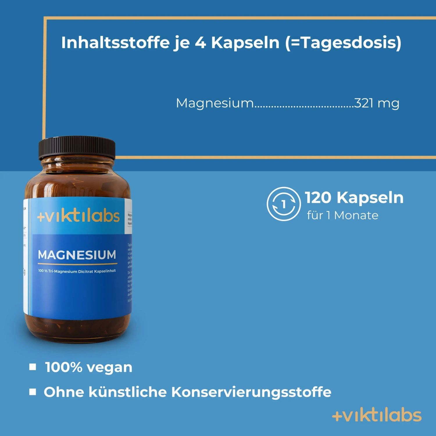 Flasche Viktilabs Magnesium, 120 Kapseln, 100% vegan, ohne Konservierungsstoffe.