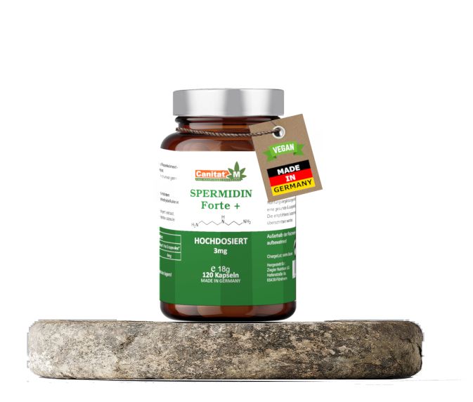 Braune Glasflasche mit Kapseln, auf Stein platziert. Etikett mit Produktname, Inhaltsstoffen und Herkunft. Vegan-Logo und Made in Germany.