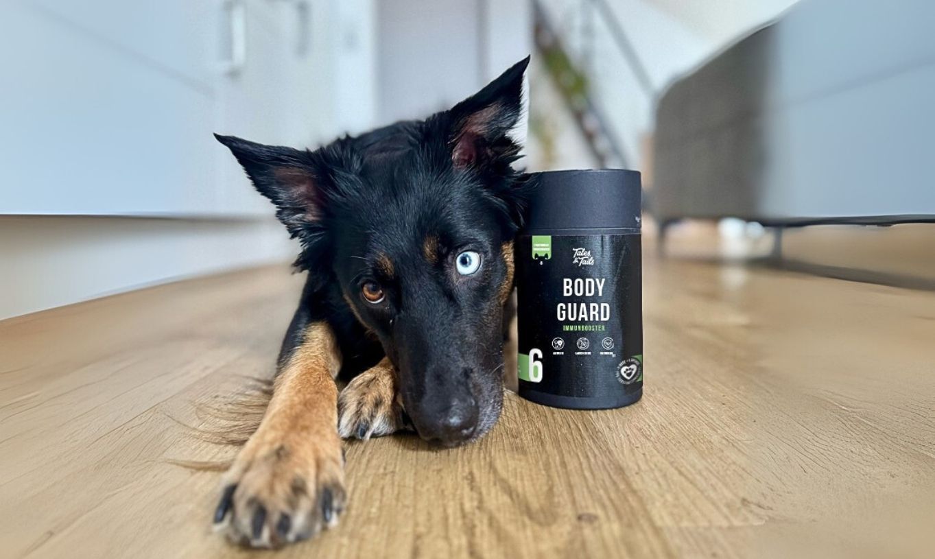 Tales & Tails Bodyguard - Funktionaler Hundesnack