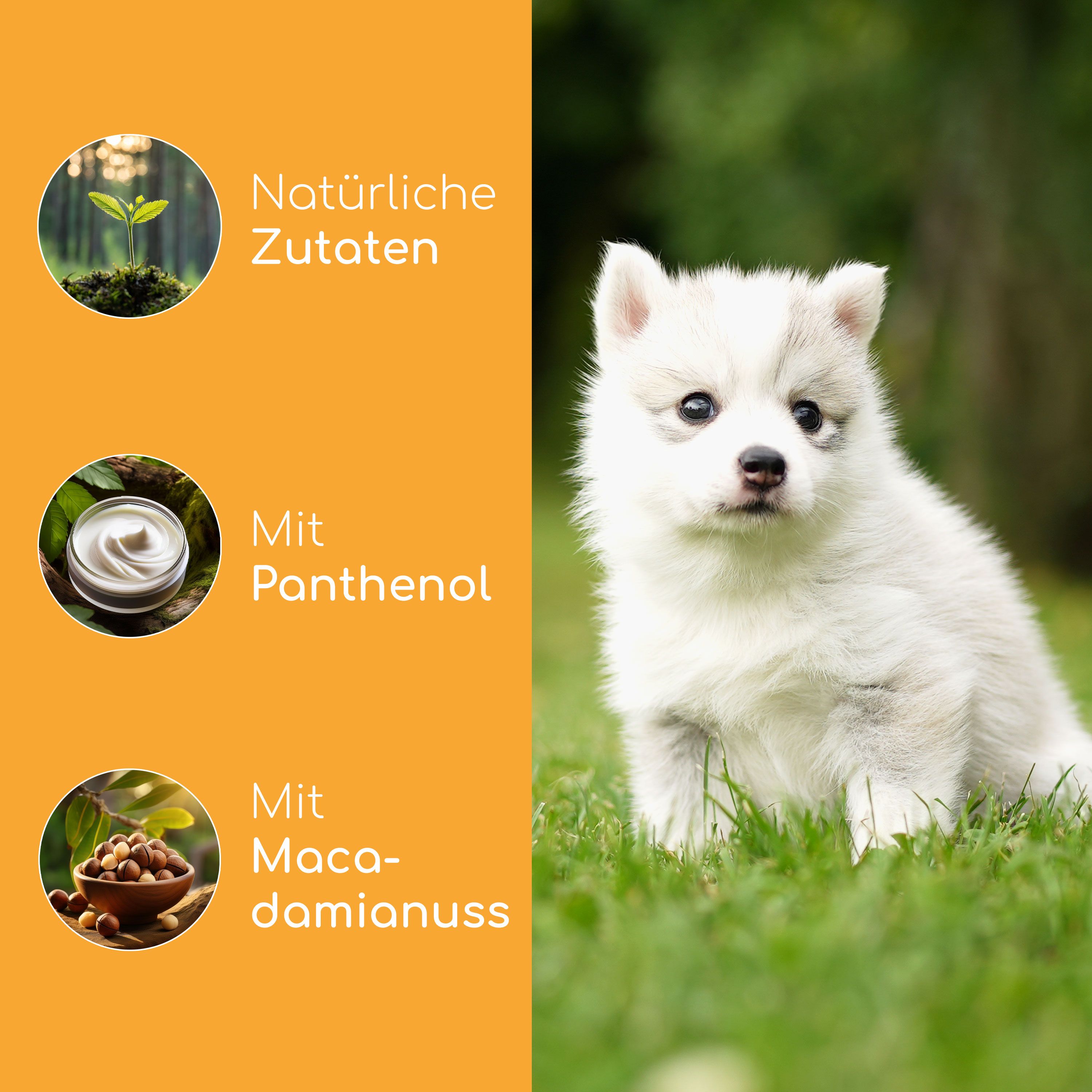 Weißer Welpe auf Gras. Text: Natürliche Zutaten, mit Panthenol, mit Macadamianuss.