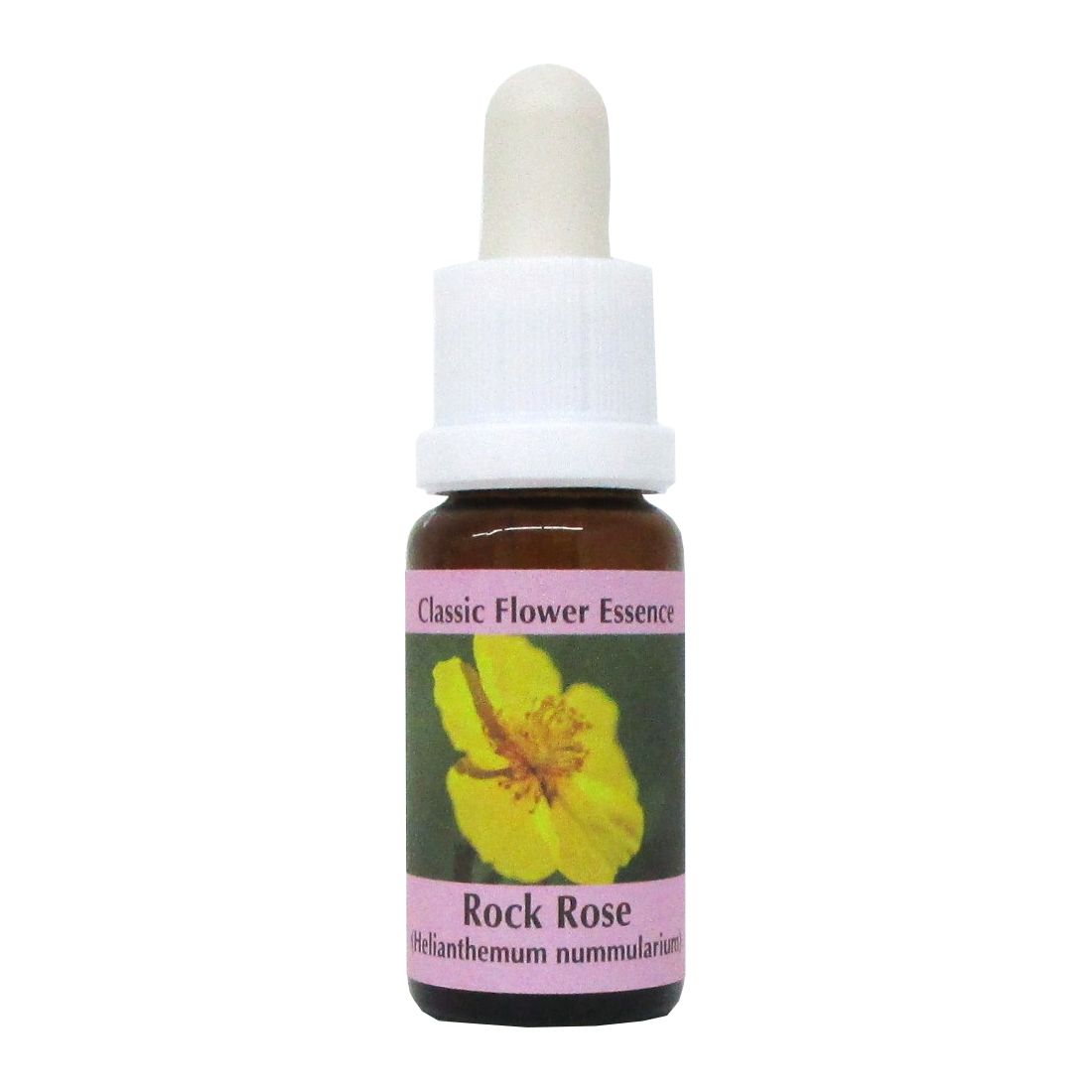PHI Essences - Rock Rose Bachblüte Nr. 26