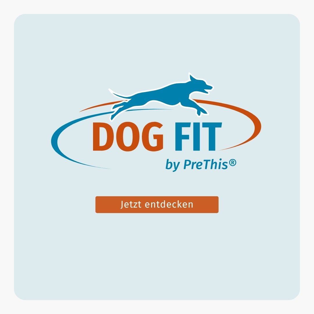 DOG FIT by PreThis® Logo. Text: Jetzt entdecken. Orangefarbener Button.