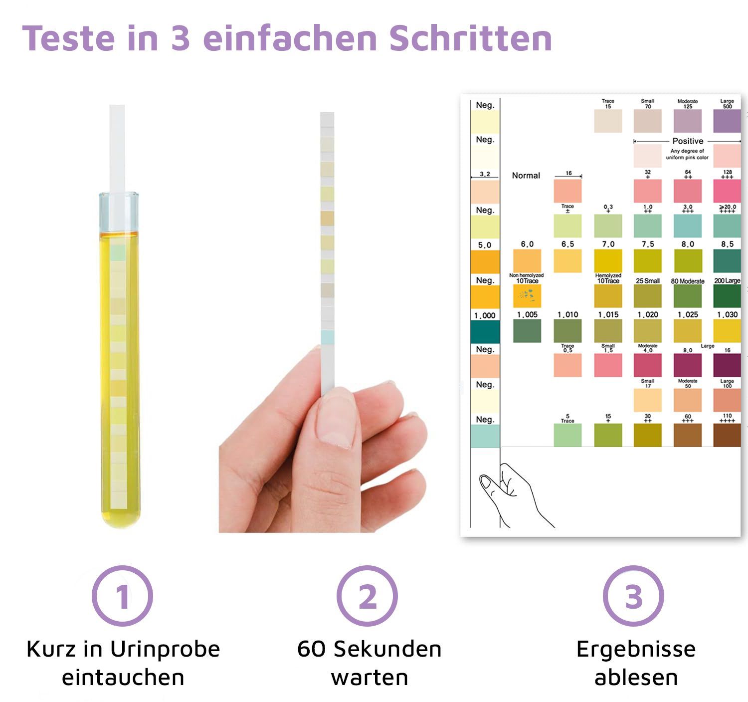 carnivoro® Gesundheitstest - Urin Teststreifen für 10 Parameter