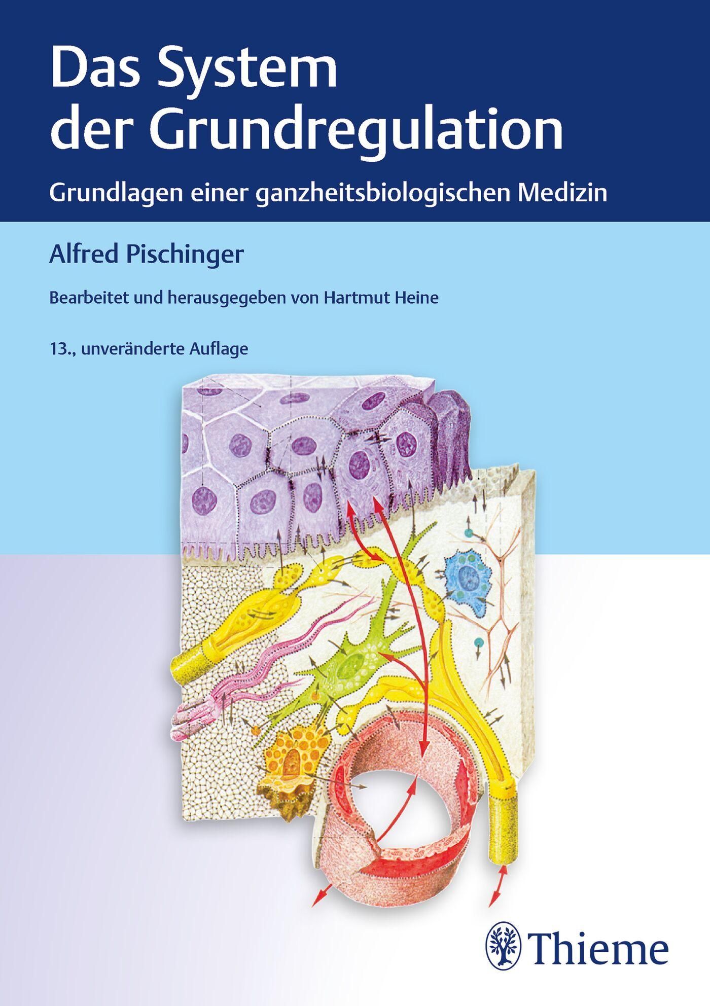 Buchcover: "Das System der Grundregulation". Titel, Autor Alfred Pischinger, 13. Auflage. Illustrationen von Zellen und Gefäßen.