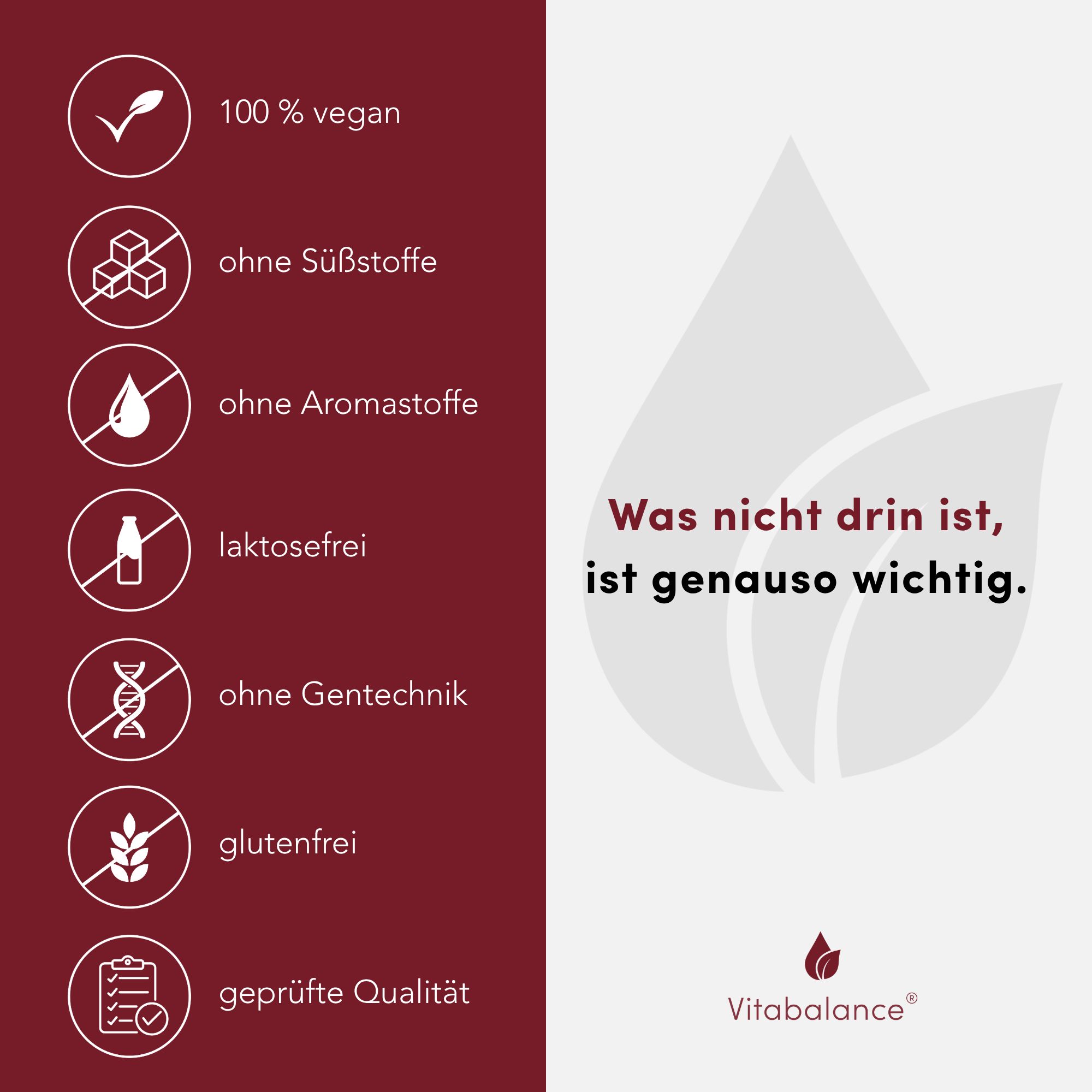 Liste mit Icons: 100% vegan, ohne Süßstoffe, Aromastoffe, laktosefrei, ohne Gentechnik, glutenfrei, geprüfte Qualität.