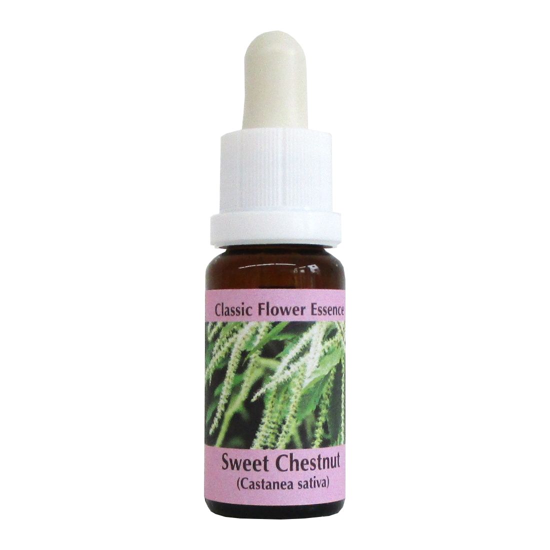 PHI Essences - Sweet Chestnut Bachblüte Nr. 30